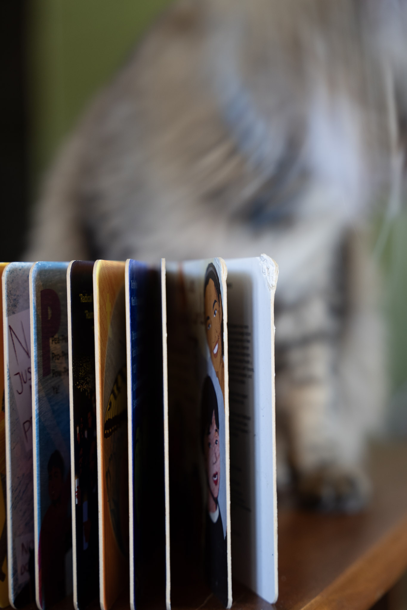 2021-12-20_Santa_Rita - foto 111