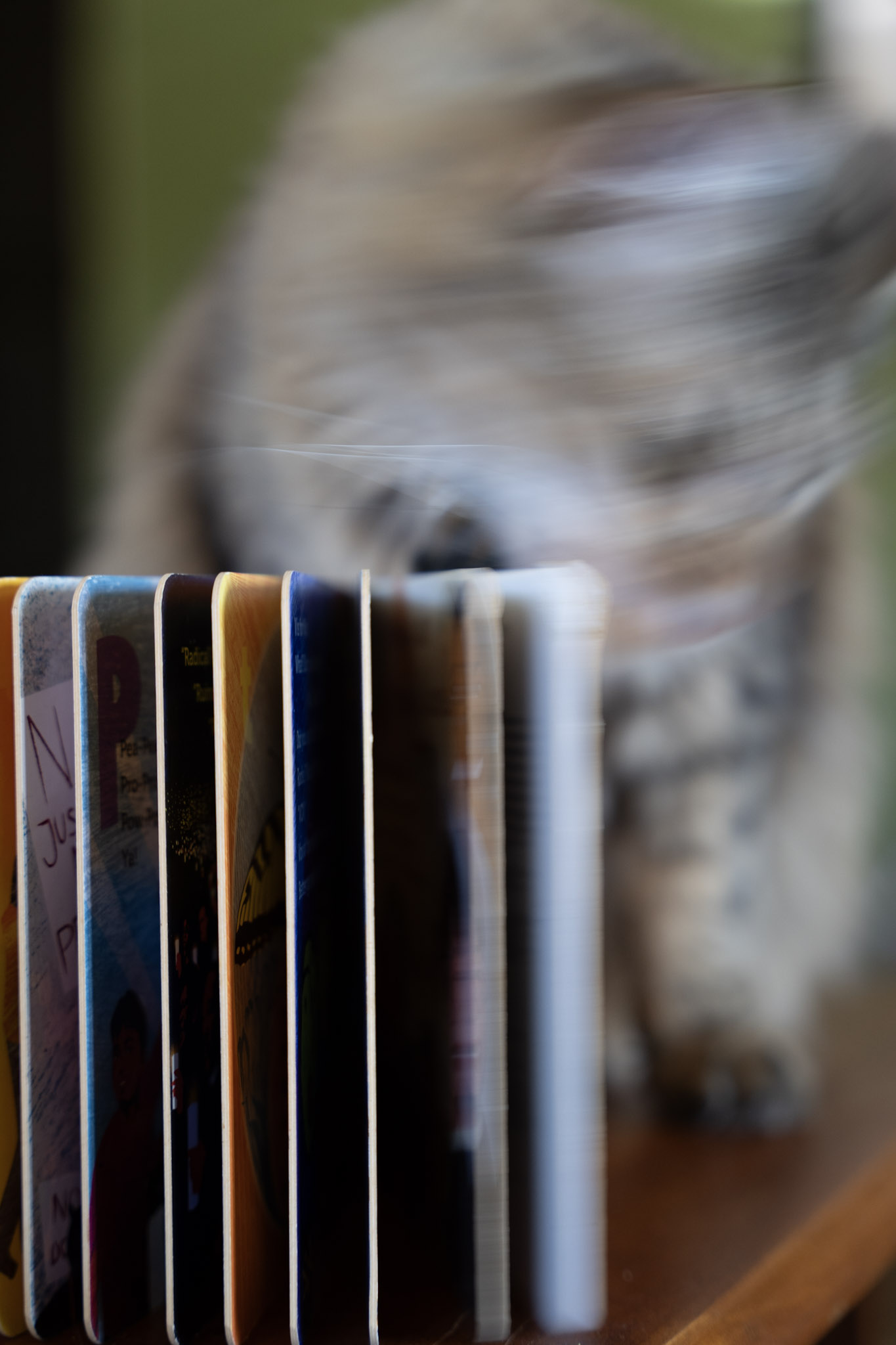 2021-12-20_Santa_Rita - foto 112