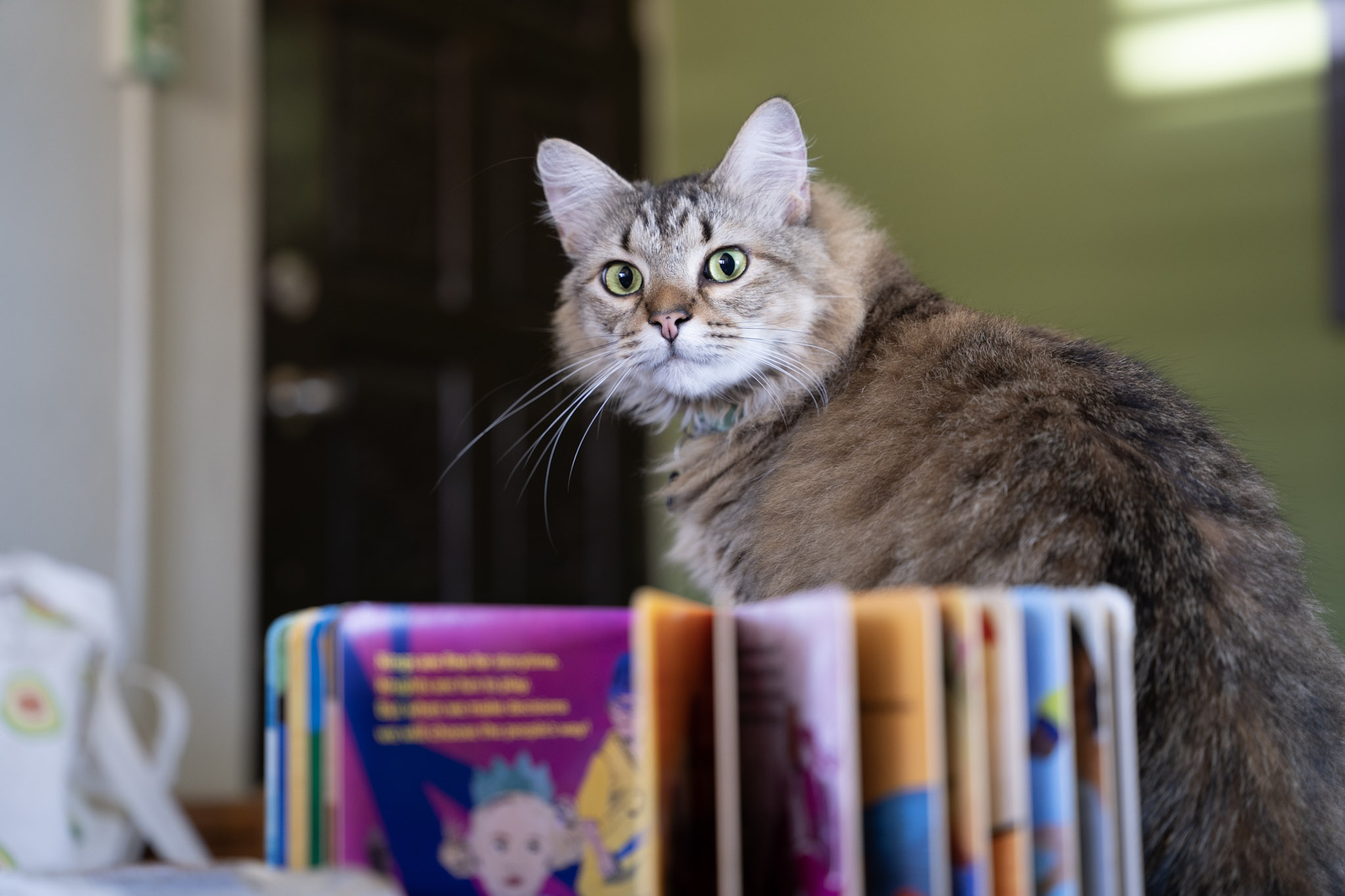 2021-12-20_Santa_Rita - foto 113