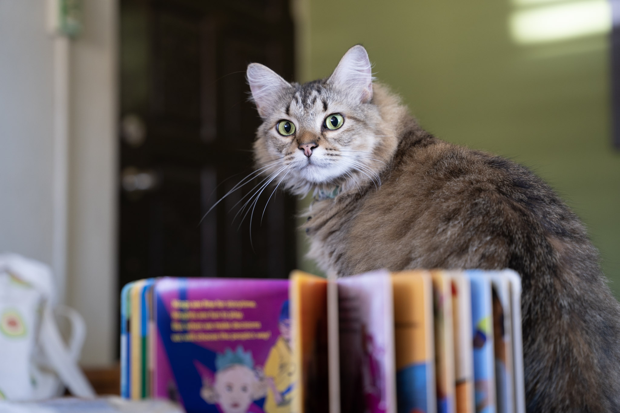 2021-12-20_Santa_Rita - foto 114