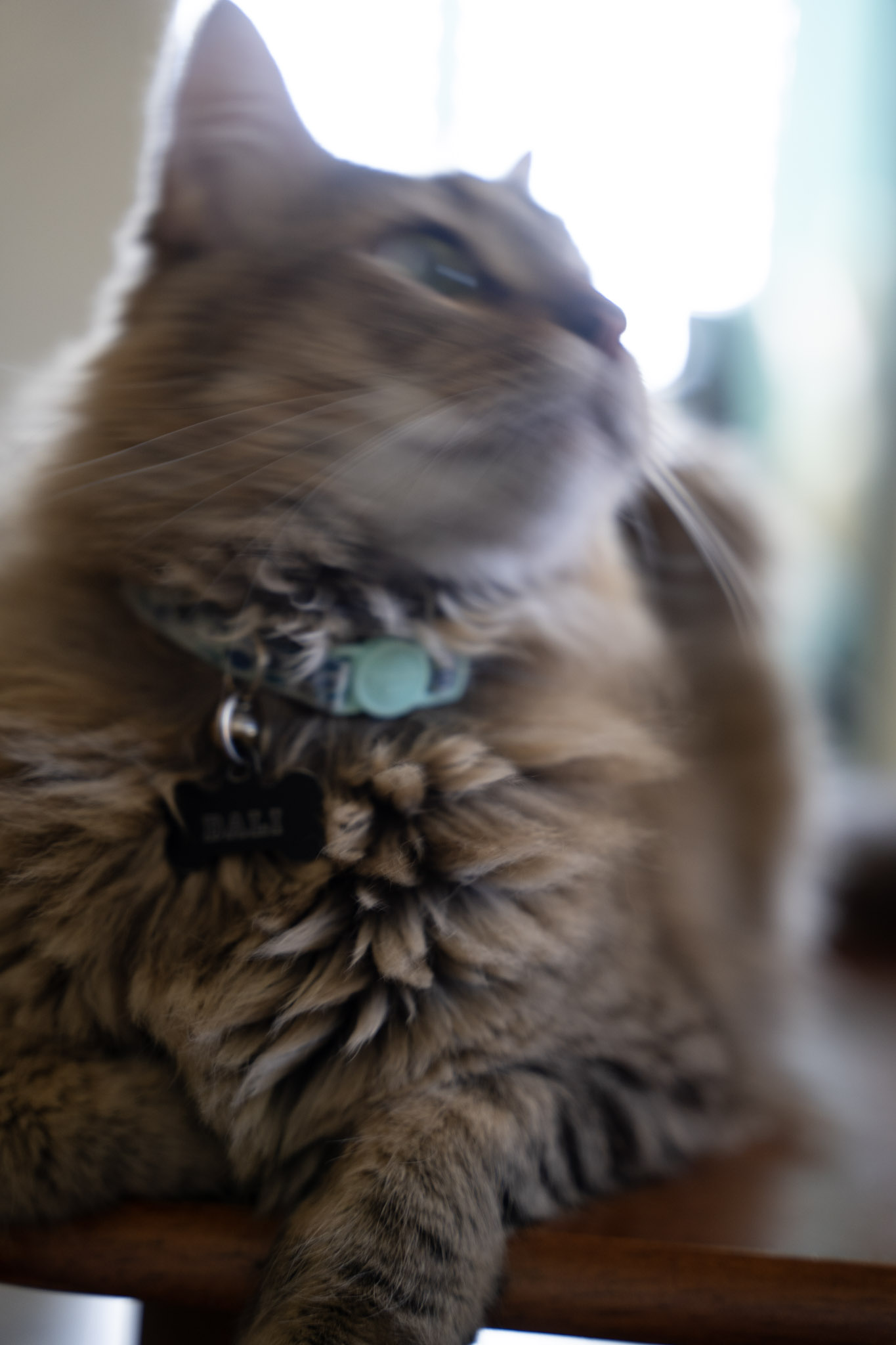 2021-12-20_Santa_Rita - foto 115