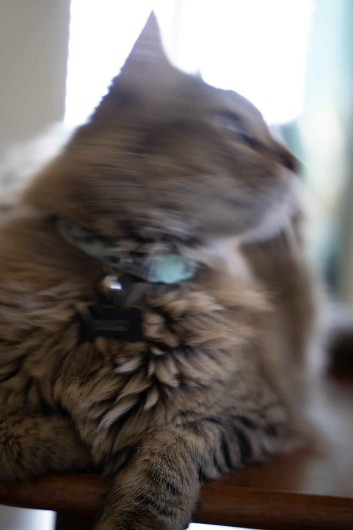 2021-12-20_Santa_Rita - foto 116