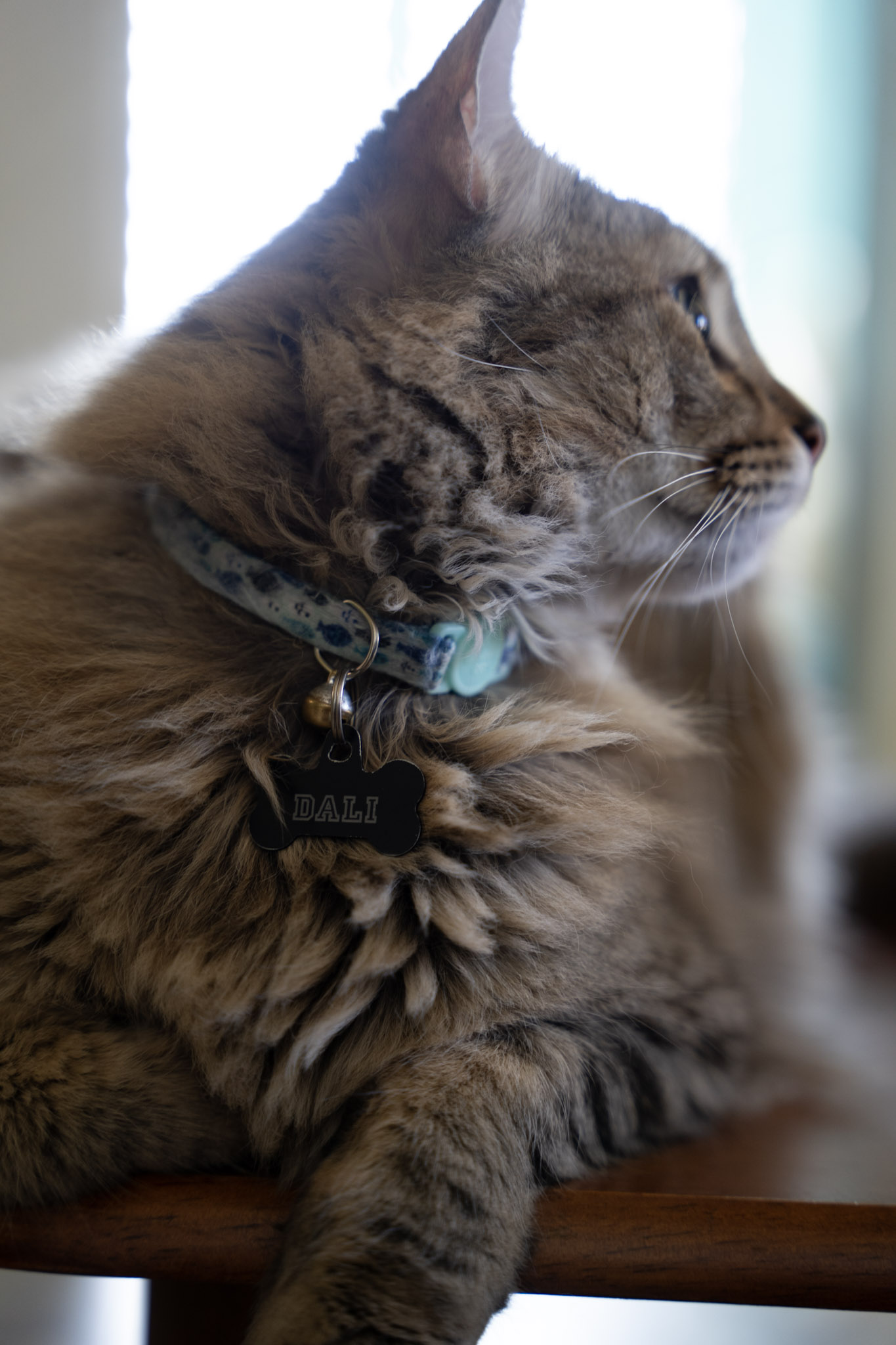 2021-12-20_Santa_Rita - foto 117