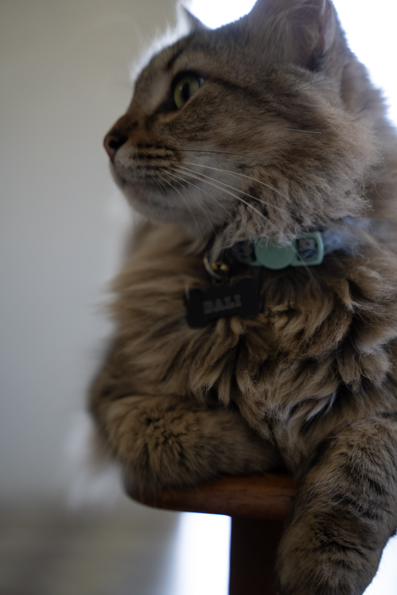 2021-12-20_Santa_Rita - foto 118