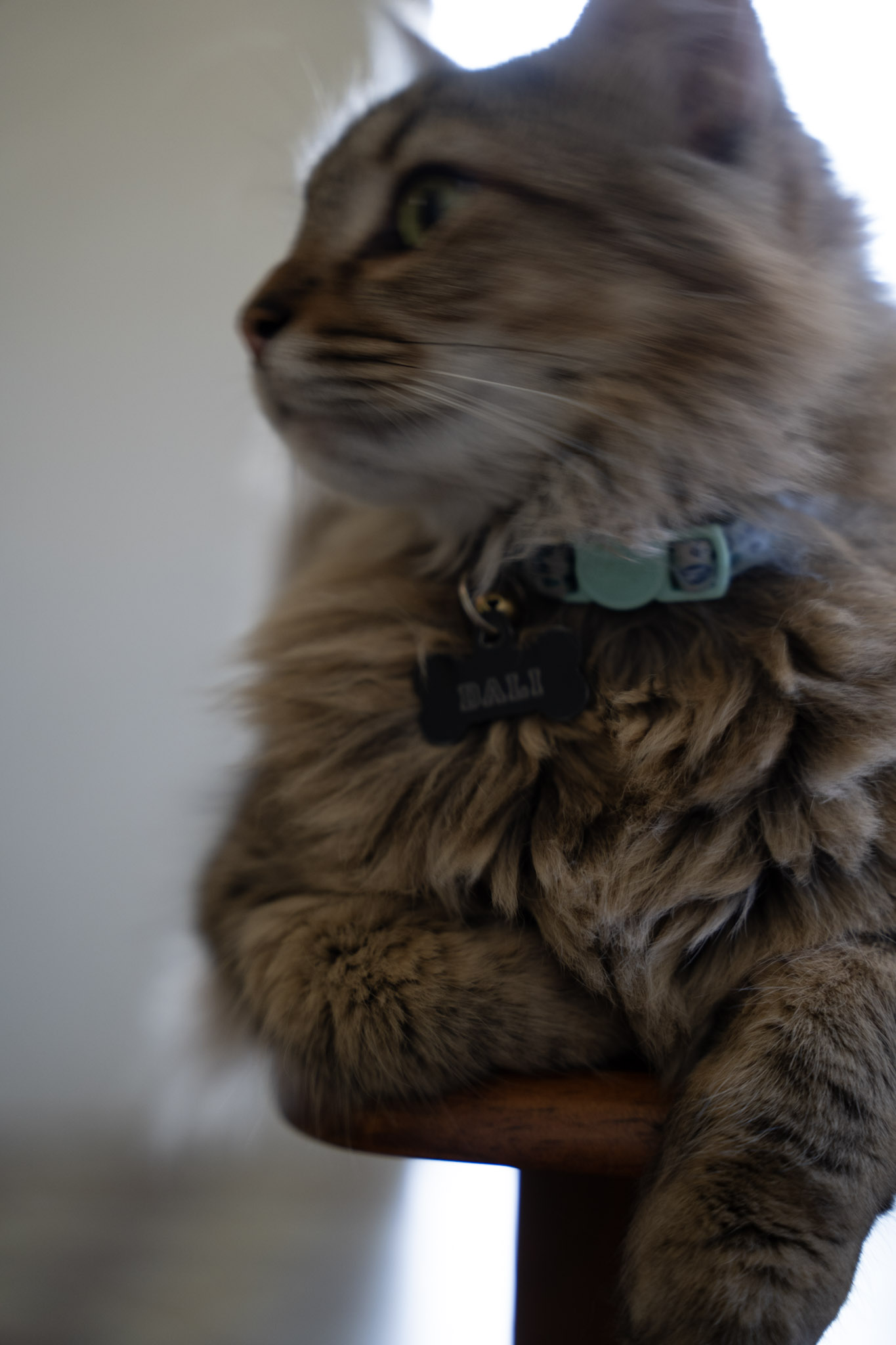 2021-12-20_Santa_Rita - foto 119