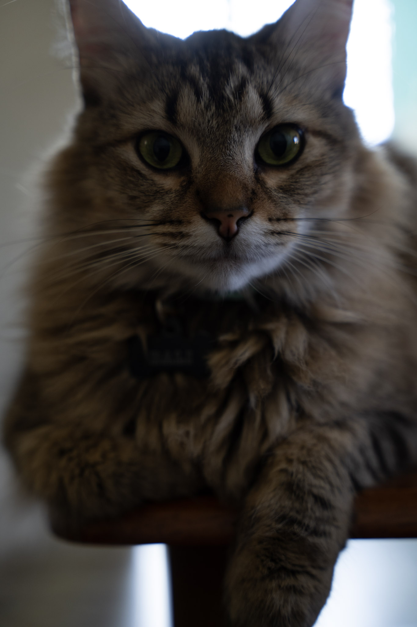 2021-12-20_Santa_Rita - foto 120