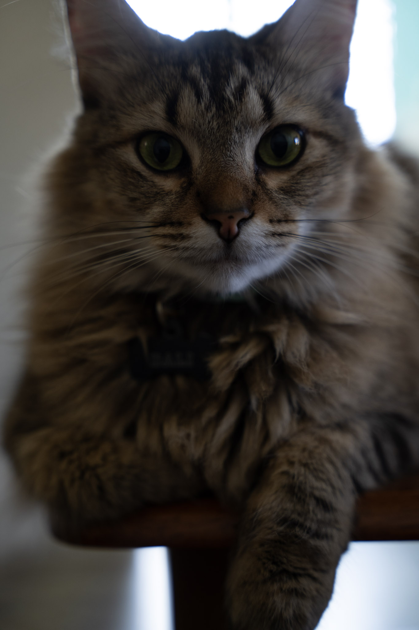 2021-12-20_Santa_Rita - foto 121