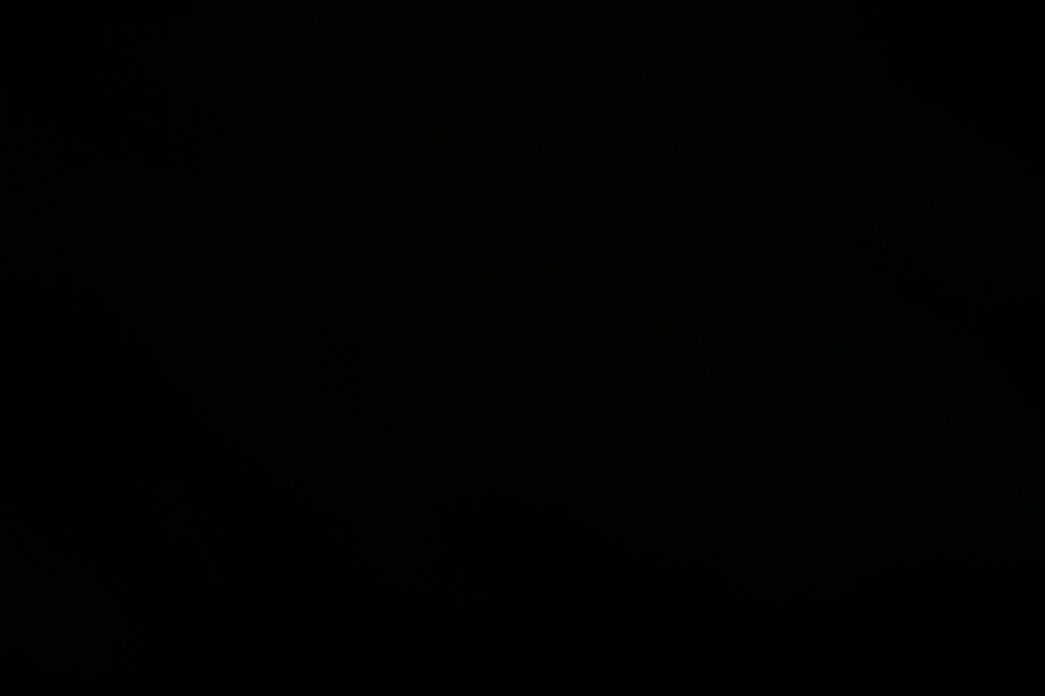 2021-12-21_Isla_de_Cabras