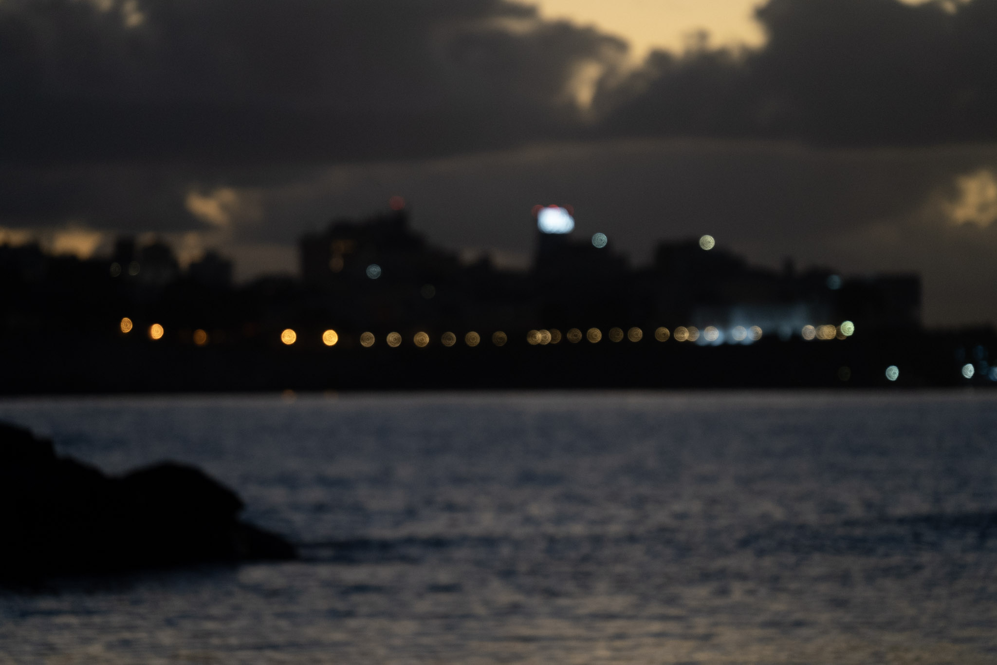 2021-12-21_Isla_de_Cabras - foto 14