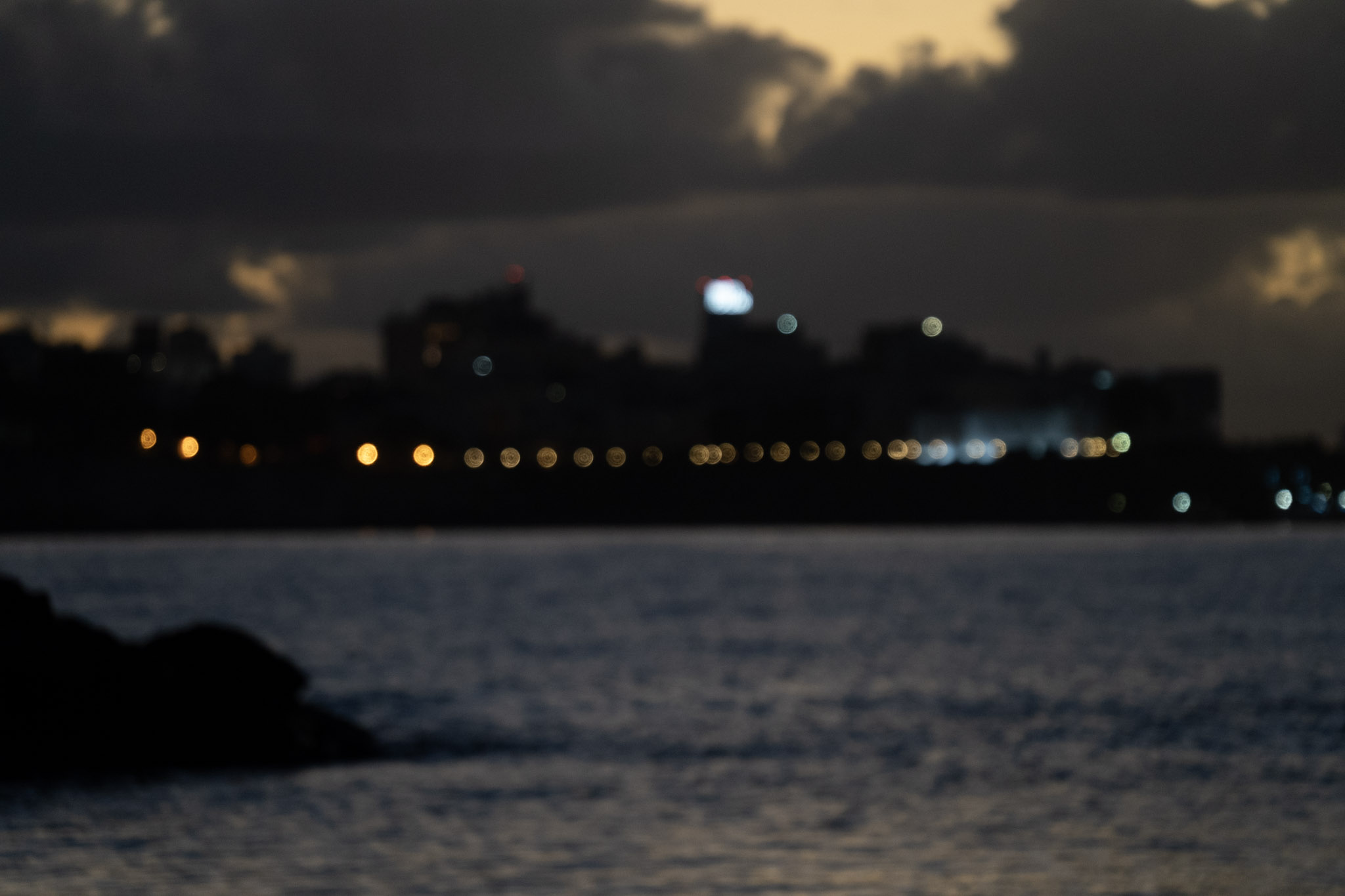 2021-12-21_Isla_de_Cabras - foto 16