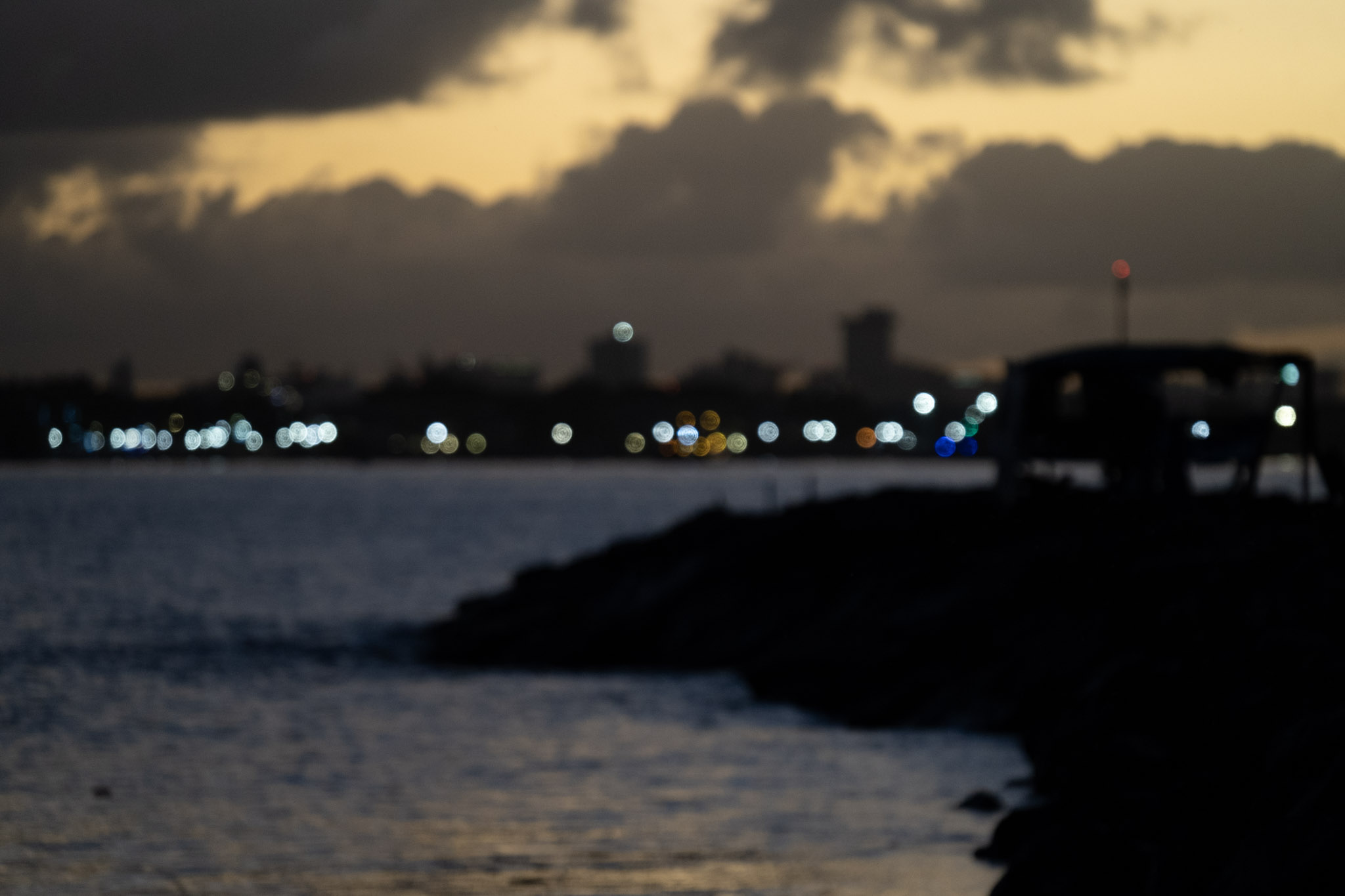 2021-12-21_Isla_de_Cabras - foto 17