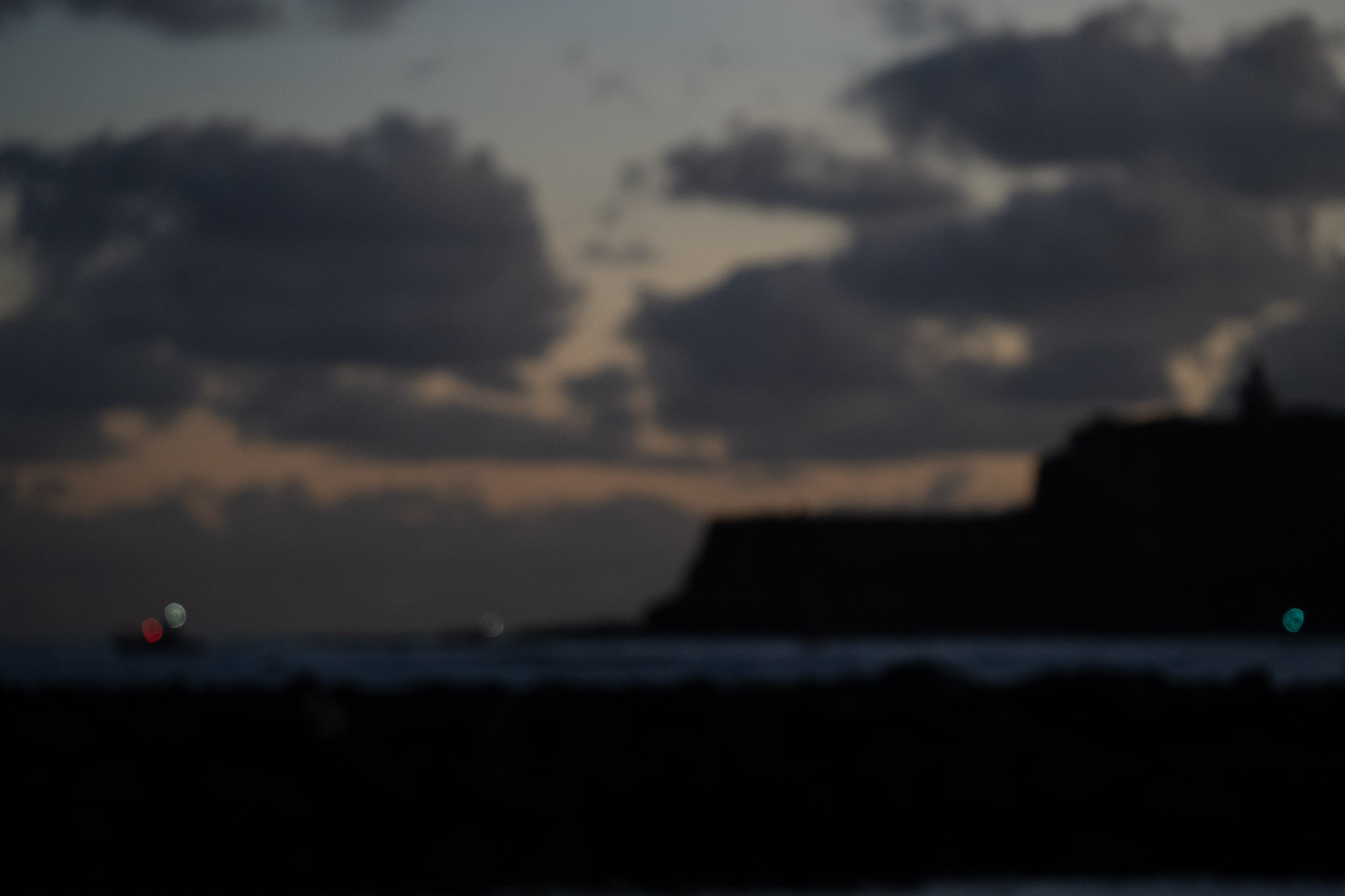 2021-12-21_Isla_de_Cabras - foto 33