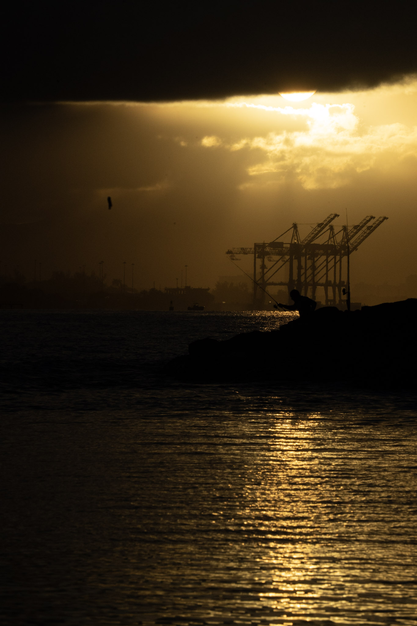 2021-12-21_Isla_de_Cabras - foto 117