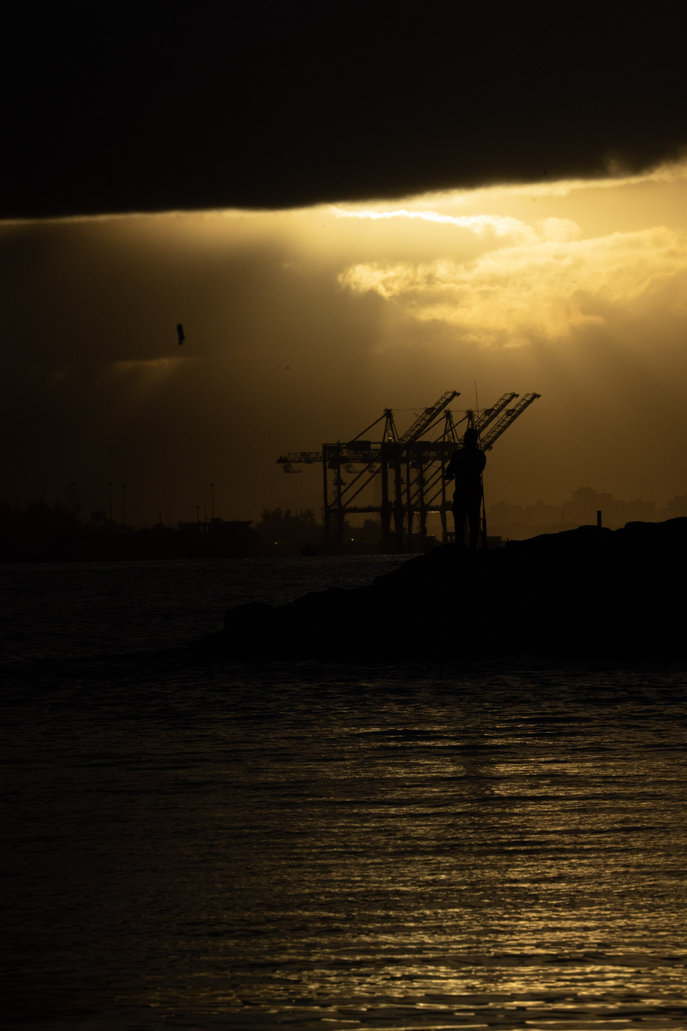 2021-12-21_Isla_de_Cabras - foto 118