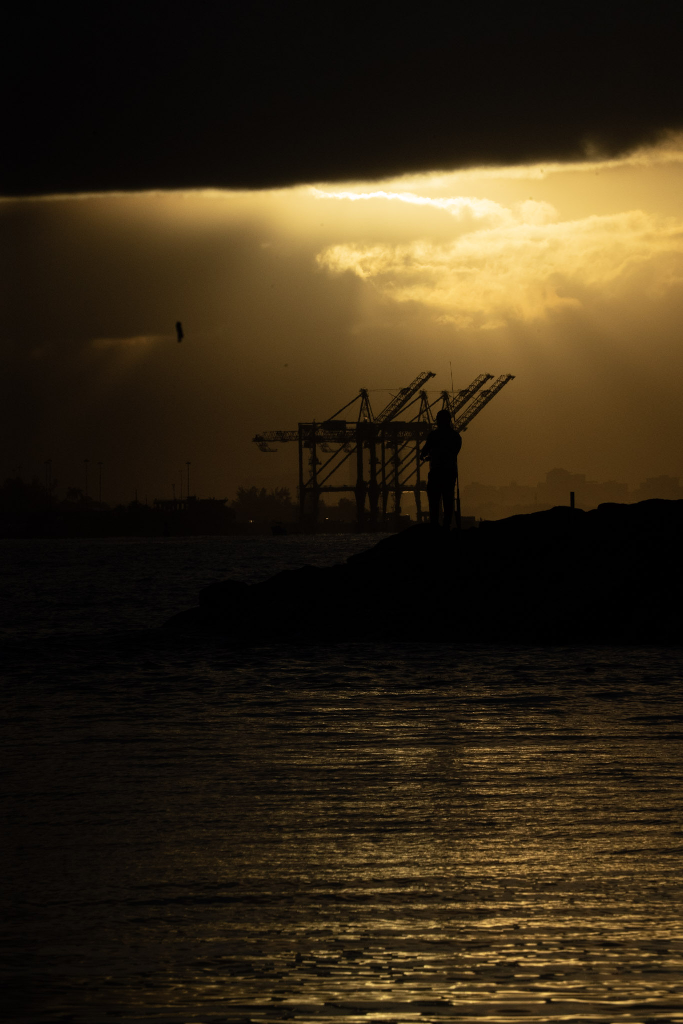 2021-12-21_Isla_de_Cabras - foto 119