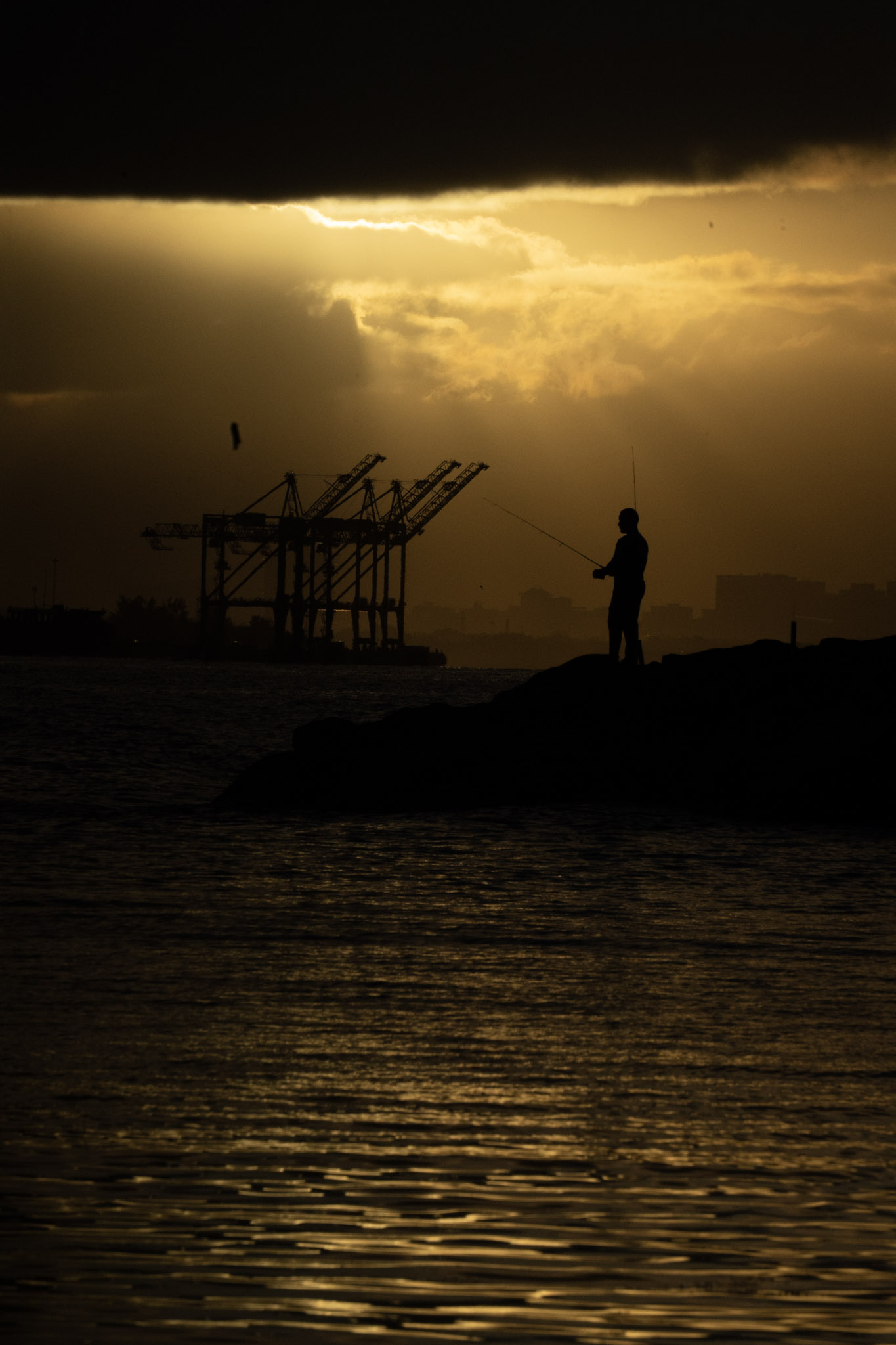 2021-12-21_Isla_de_Cabras - foto 123