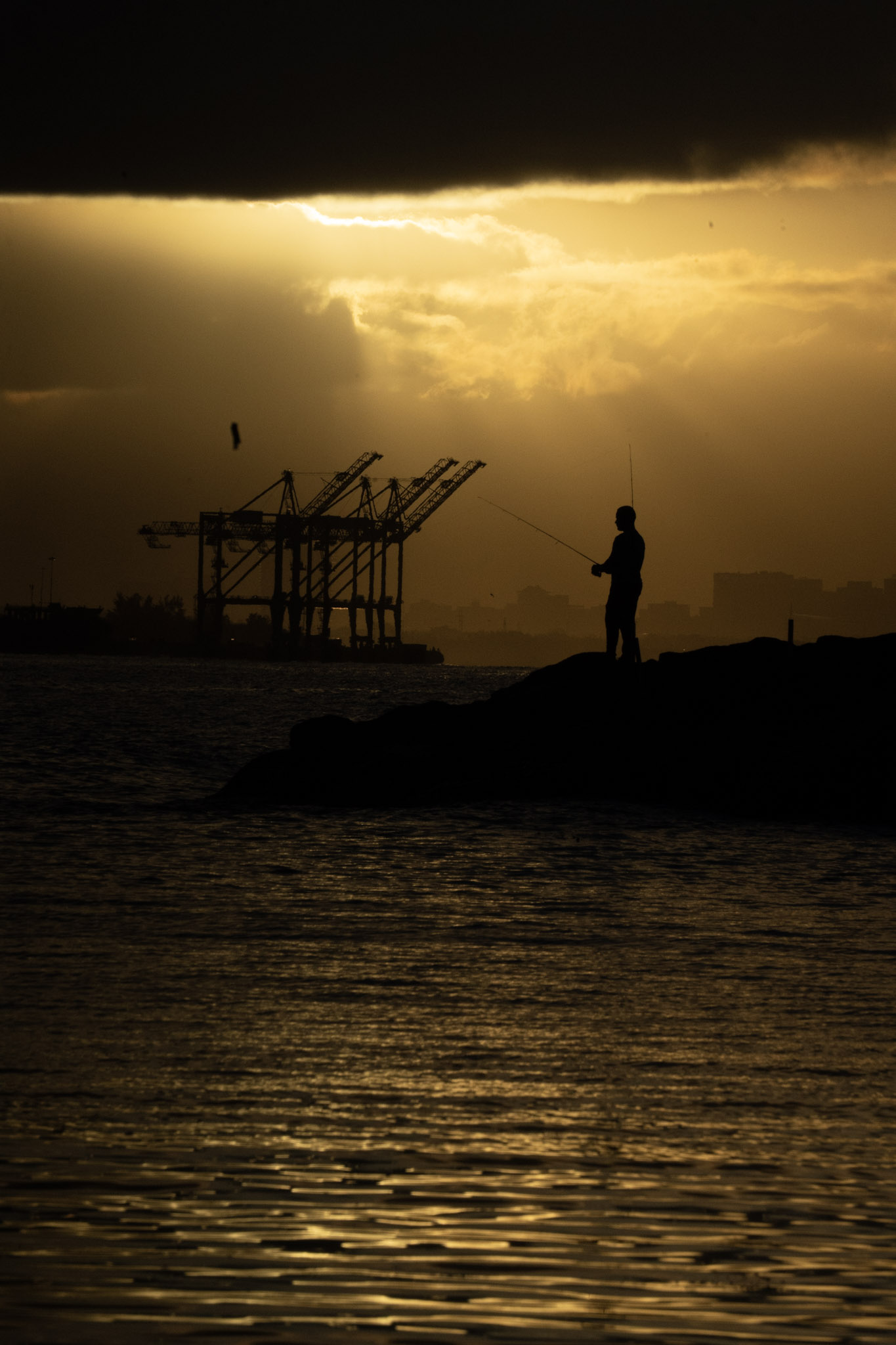 2021-12-21_Isla_de_Cabras - foto 124