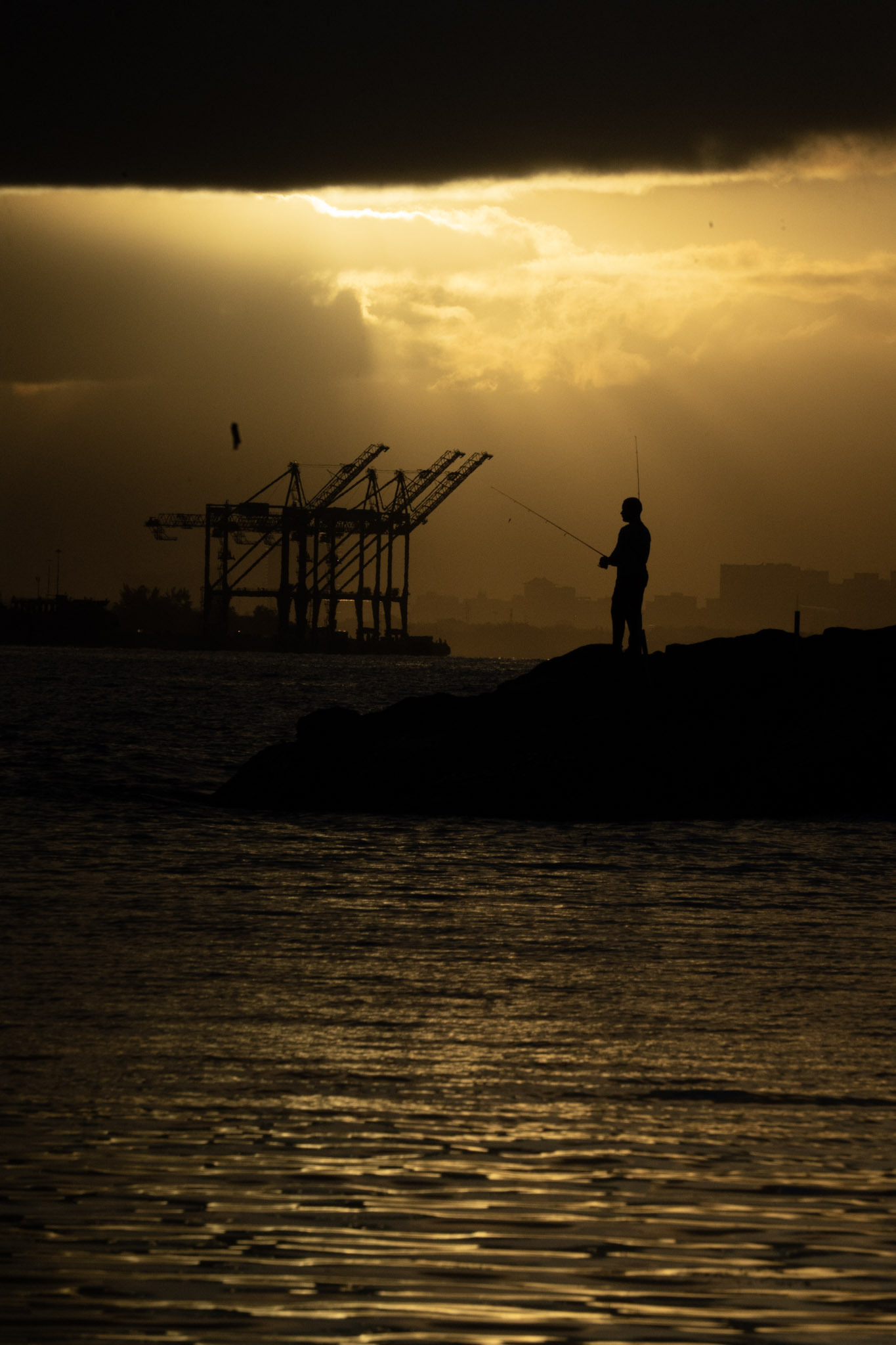 2021-12-21_Isla_de_Cabras - foto 125