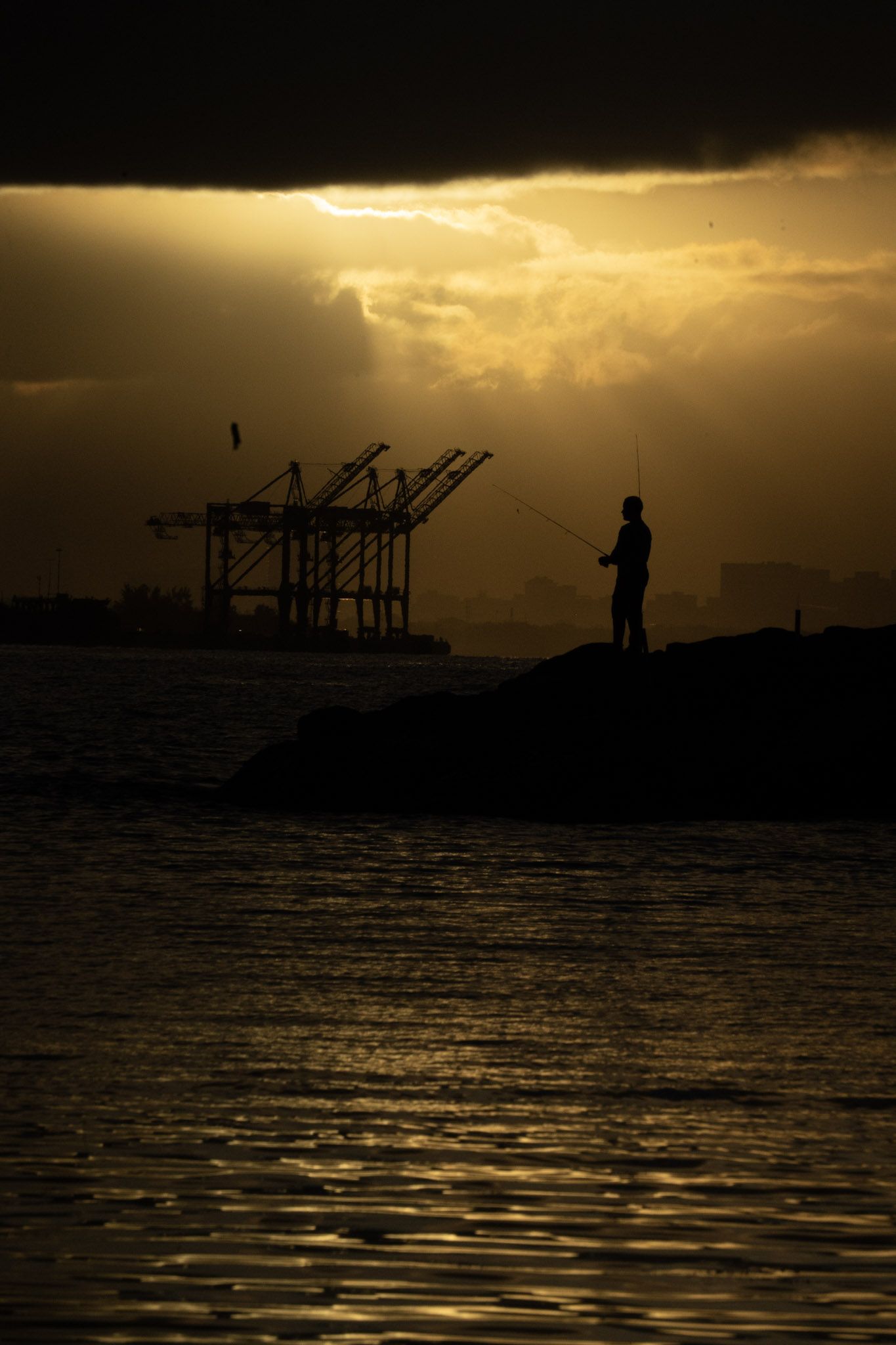 2021-12-21_Isla_de_Cabras - foto 126