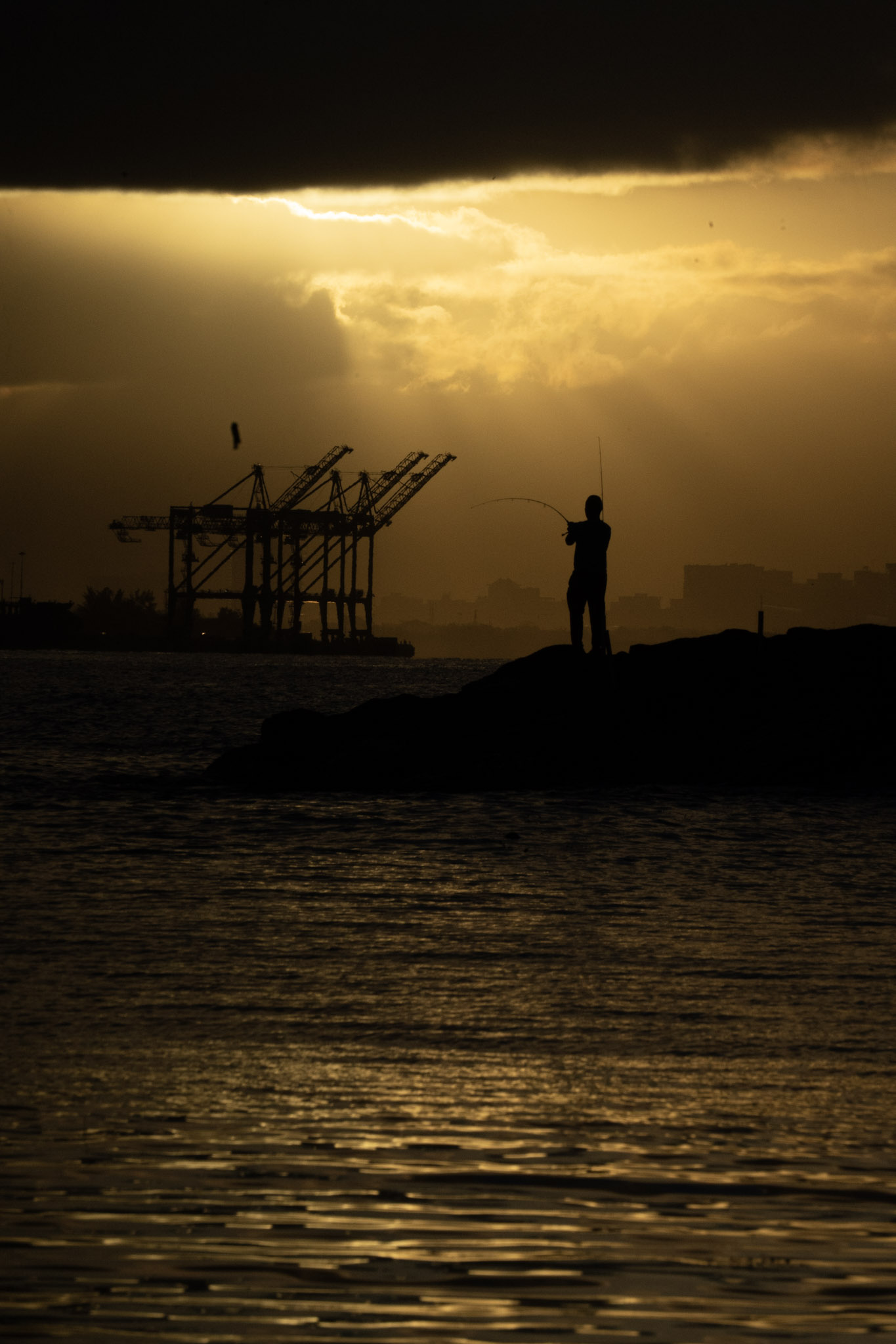 2021-12-21_Isla_de_Cabras - foto 127