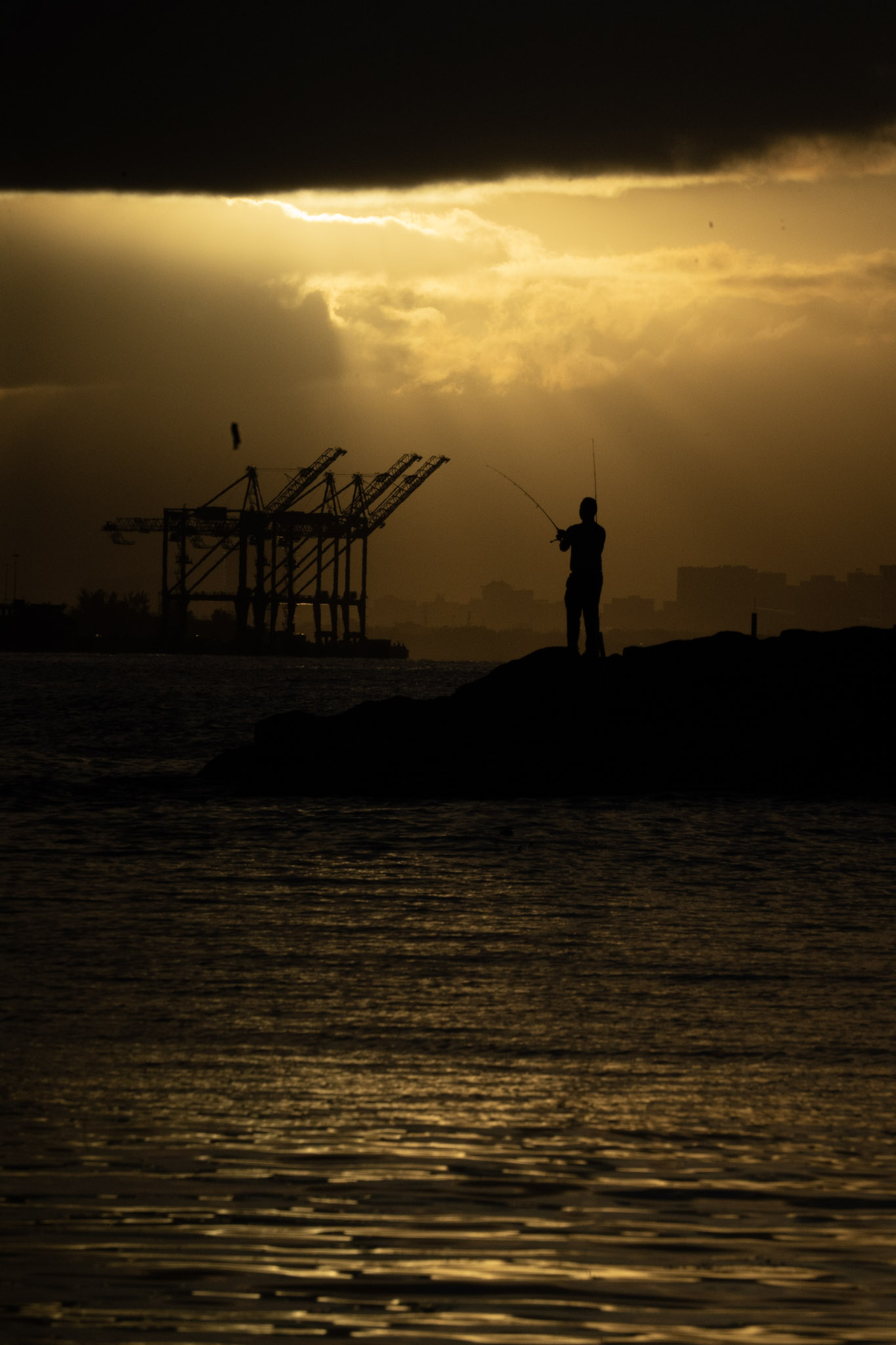 2021-12-21_Isla_de_Cabras - foto 128