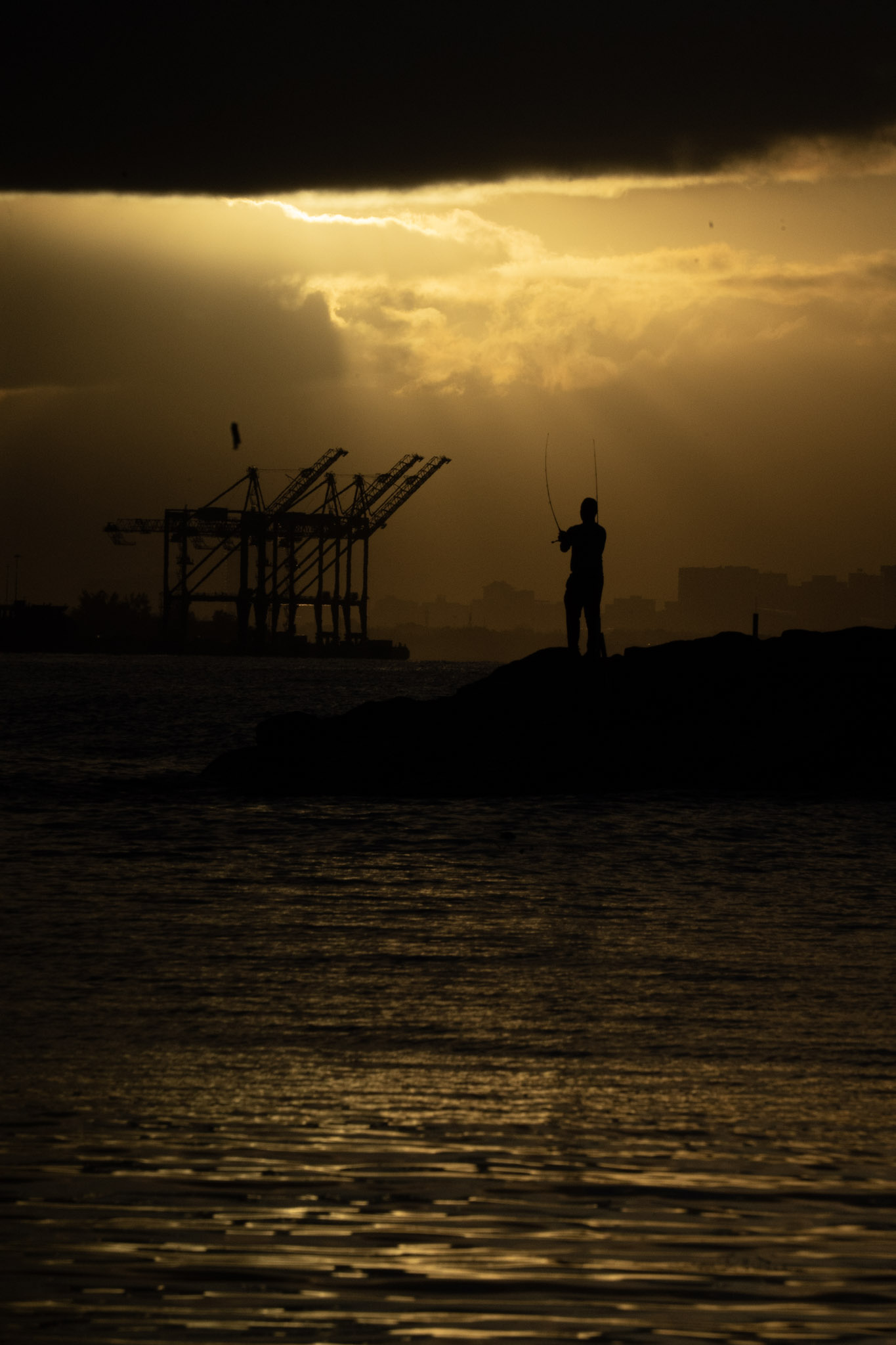 2021-12-21_Isla_de_Cabras - foto 129