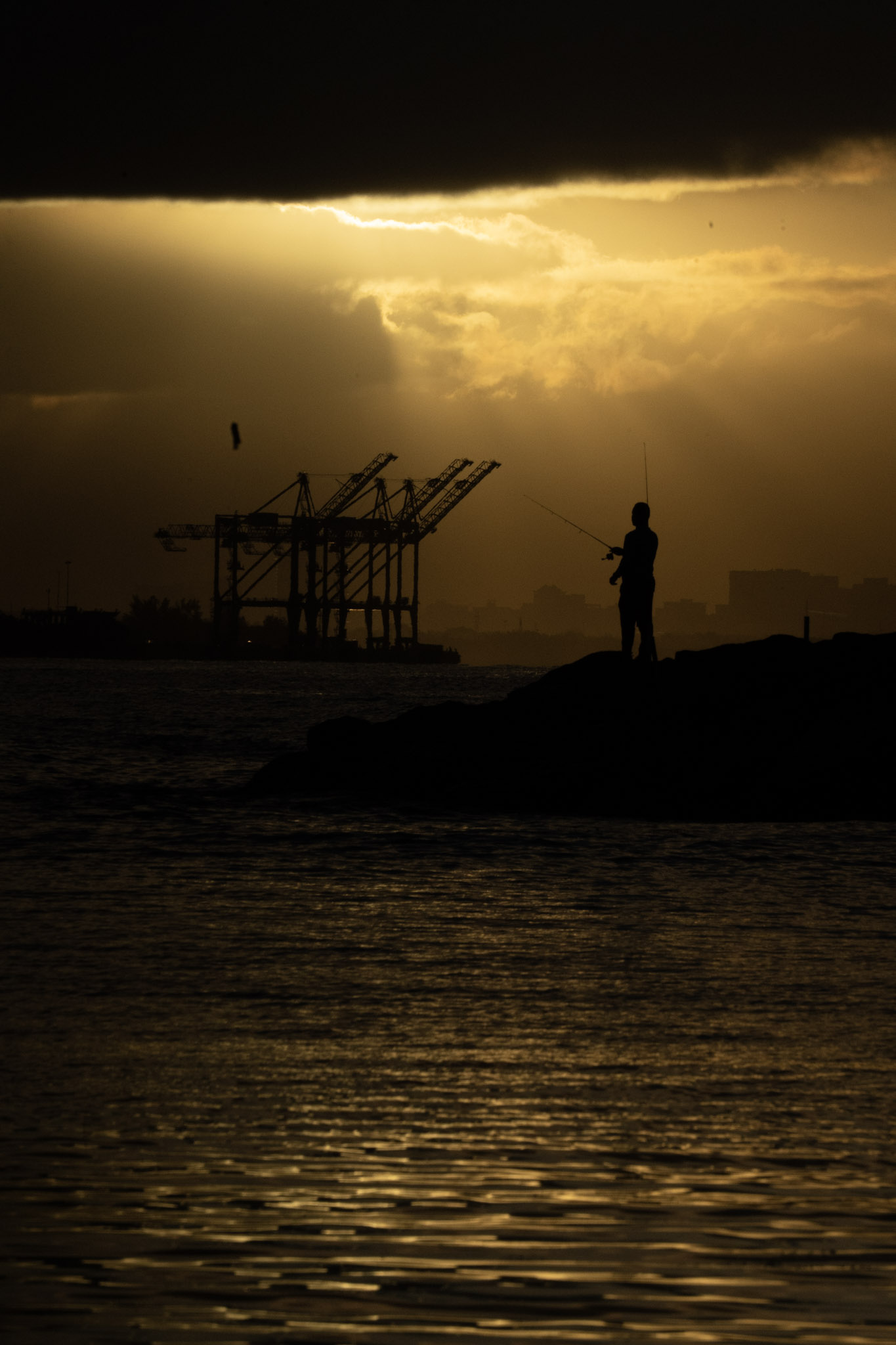 2021-12-21_Isla_de_Cabras - foto 130