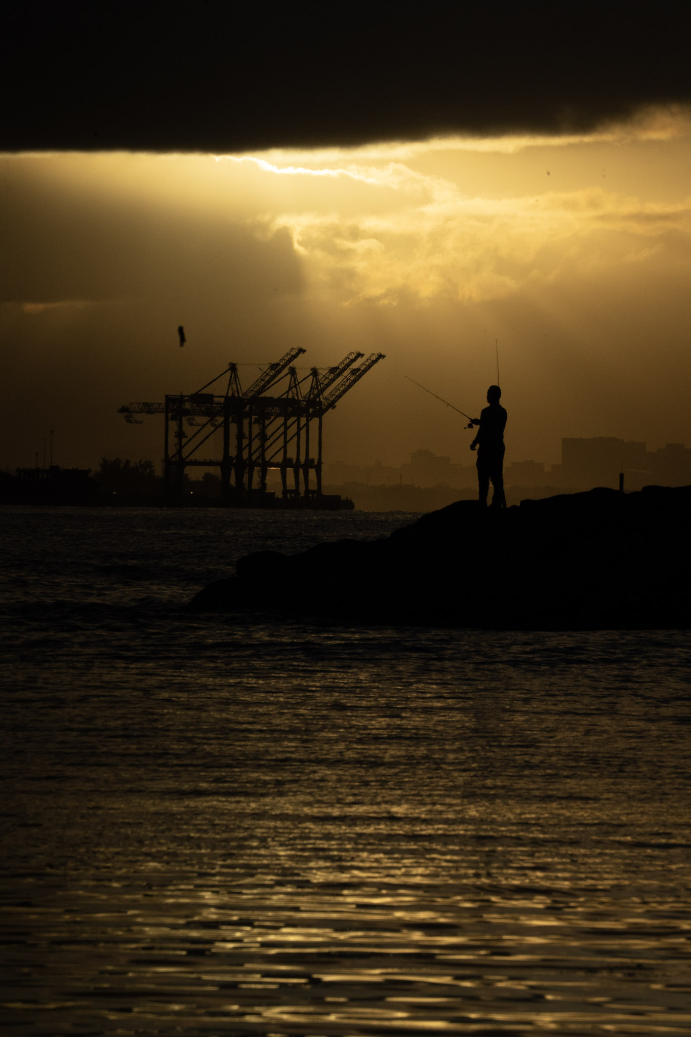 2021-12-21_Isla_de_Cabras - foto 131