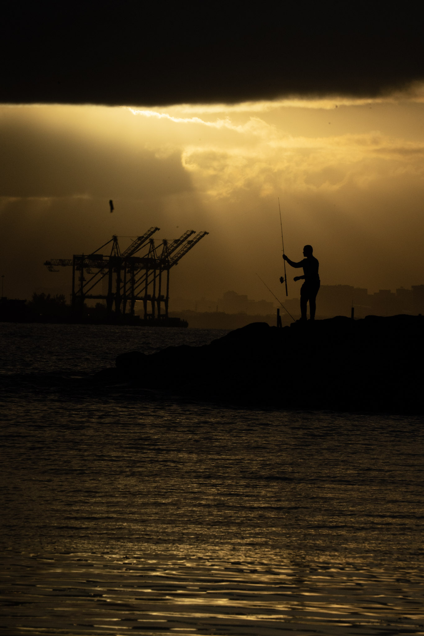 2021-12-21_Isla_de_Cabras - foto 132