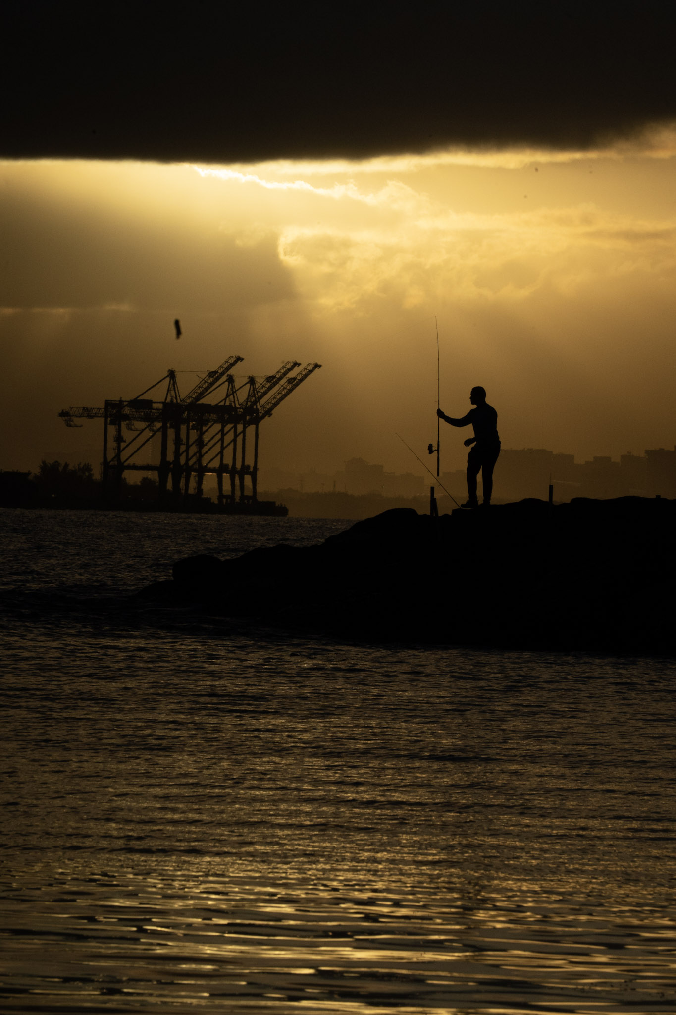 2021-12-21_Isla_de_Cabras - foto 133