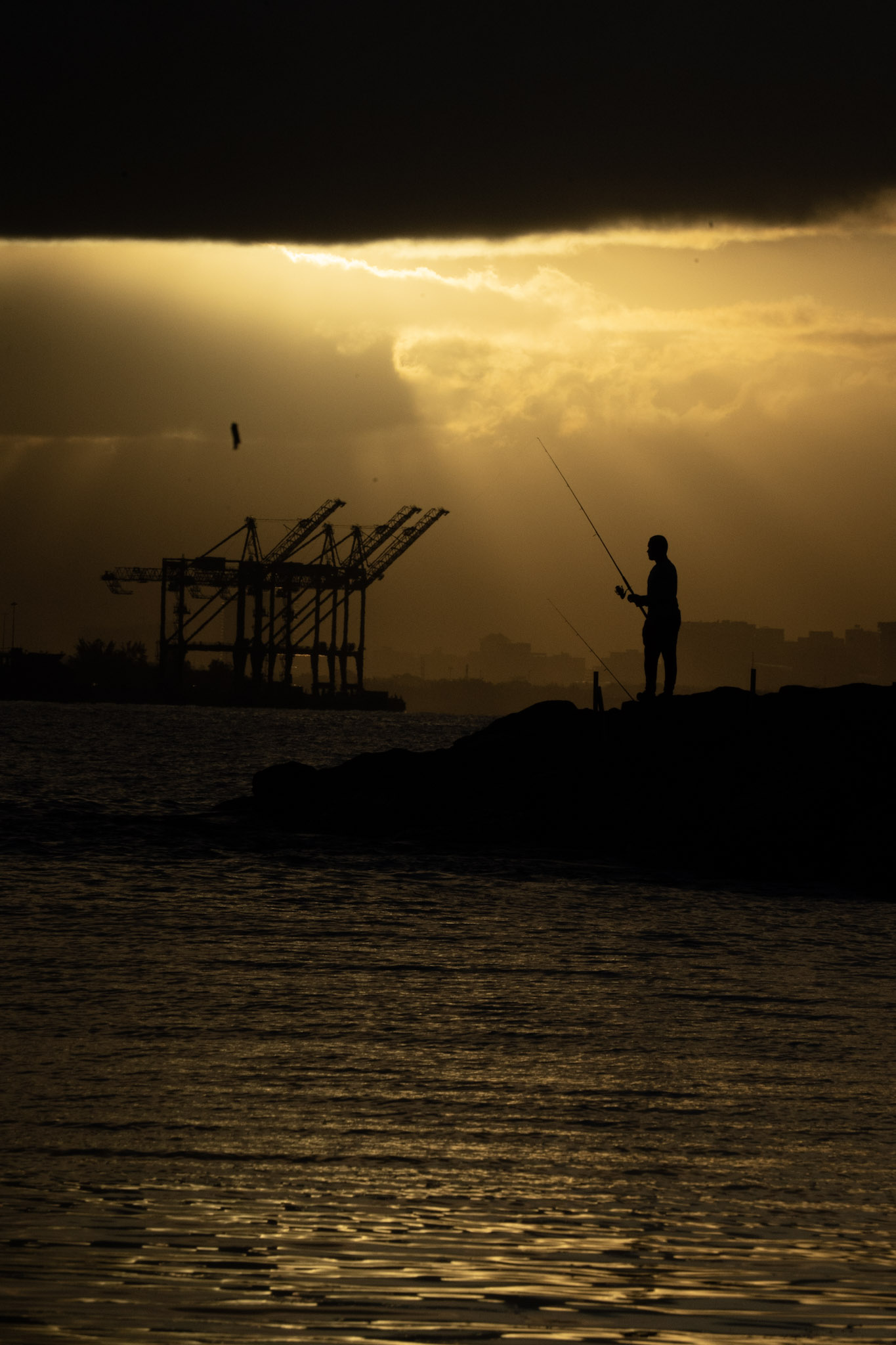 2021-12-21_Isla_de_Cabras - foto 134