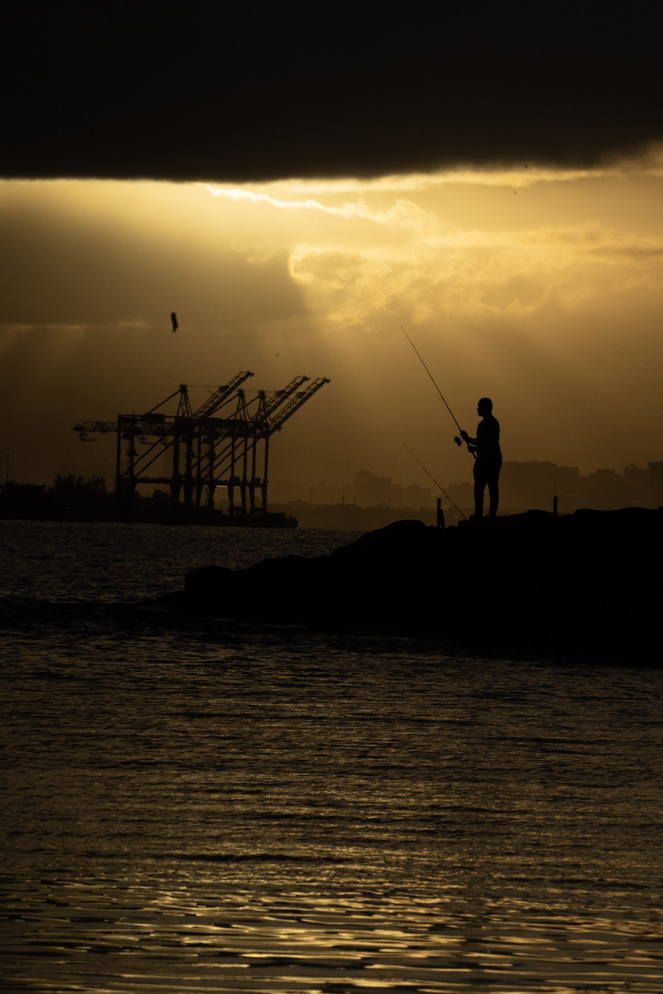 2021-12-21_Isla_de_Cabras - foto 135