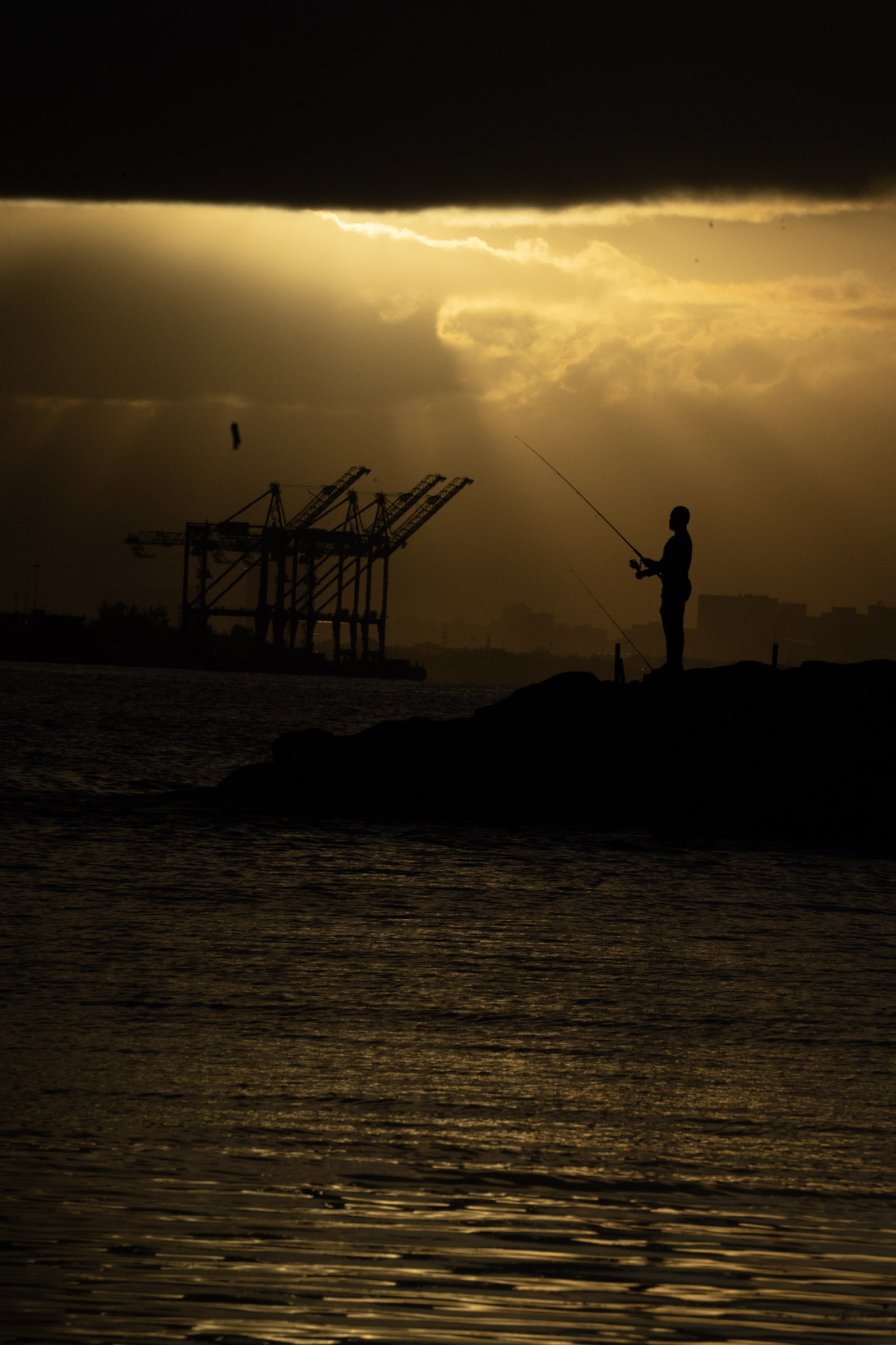 2021-12-21_Isla_de_Cabras - foto 136