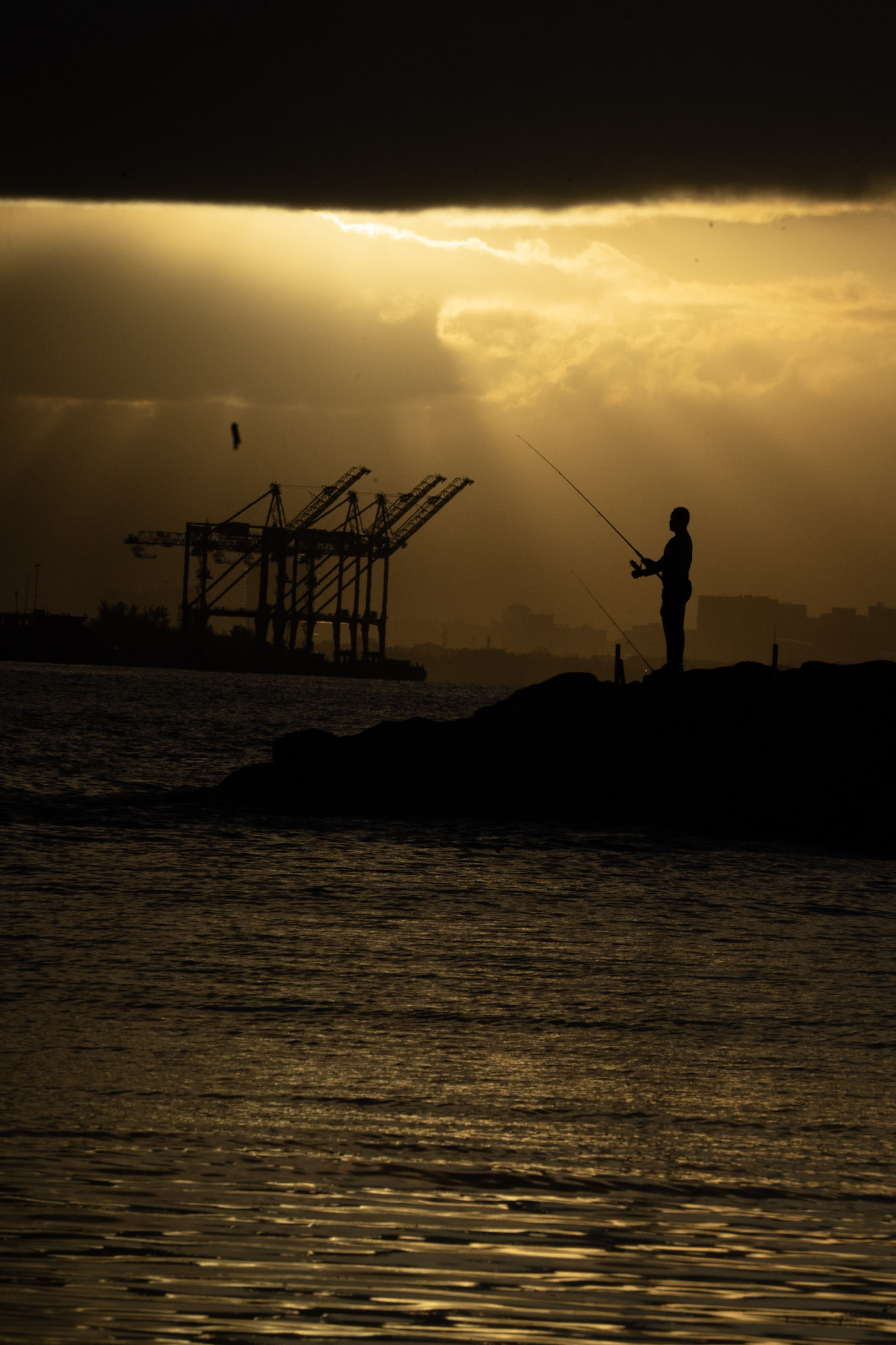 2021-12-21_Isla_de_Cabras - foto 137