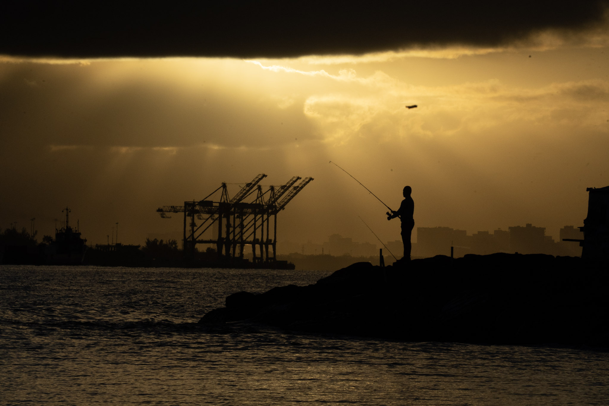 2021-12-21_Isla_de_Cabras - foto 138