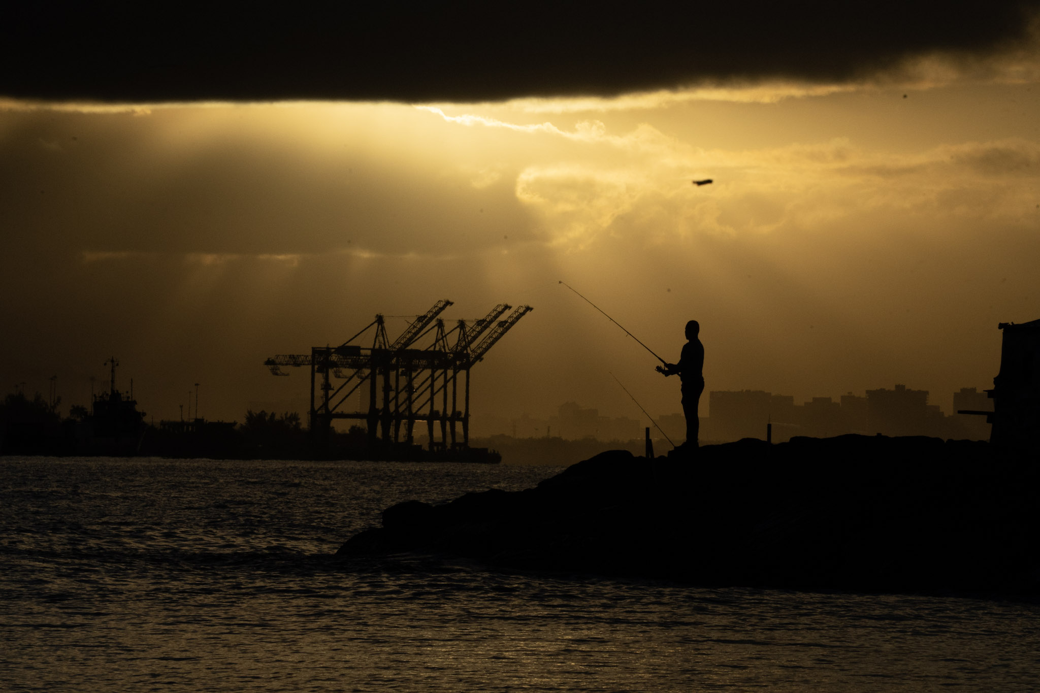 2021-12-21_Isla_de_Cabras - foto 139