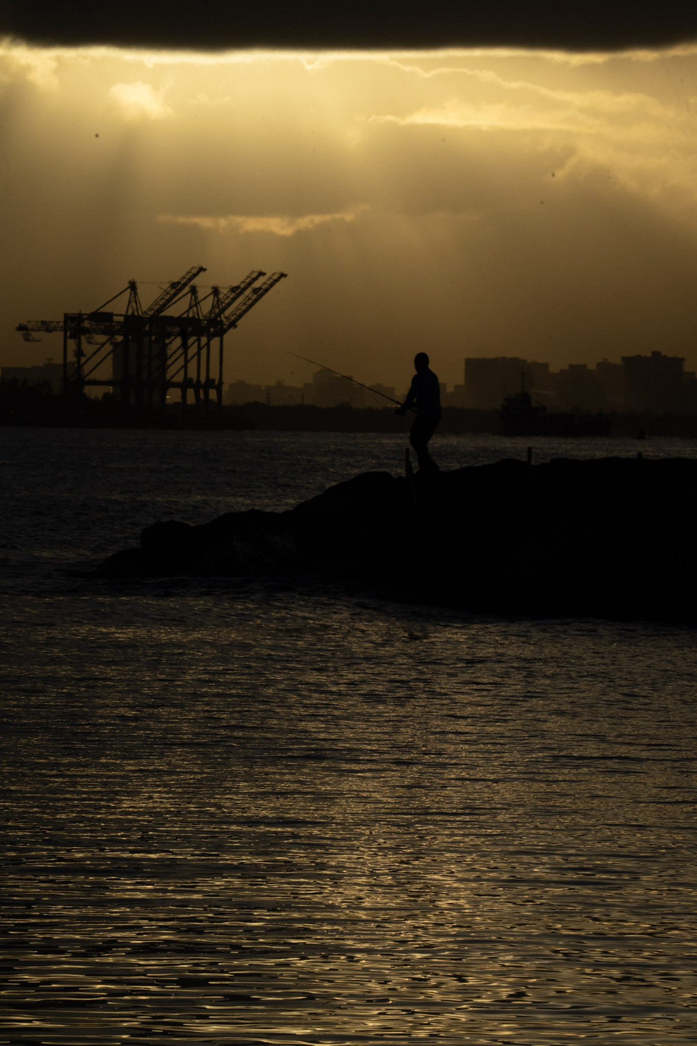 2021-12-21_Isla_de_Cabras - foto 141