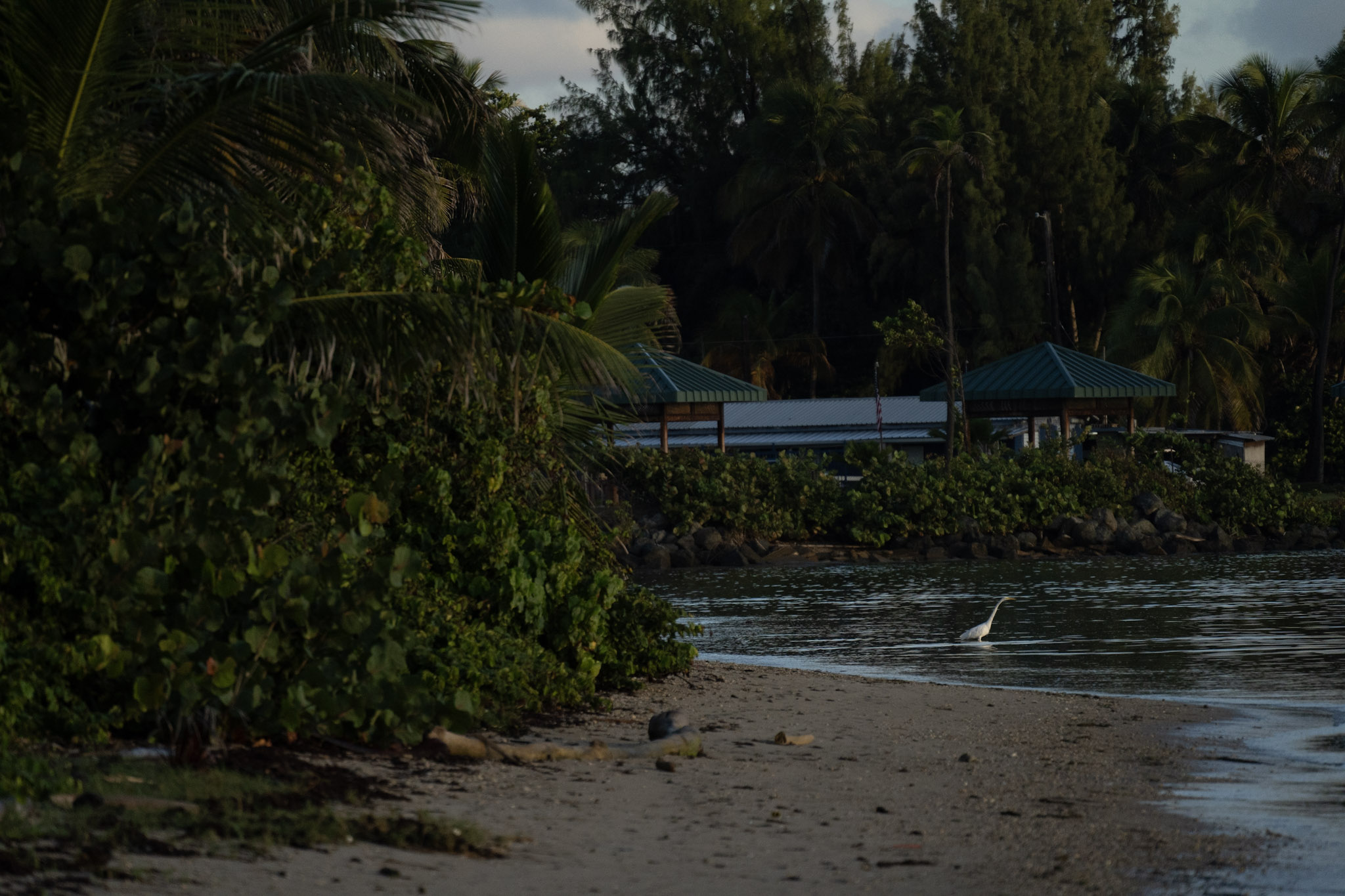 2021-12-21_Isla_de_Cabras - foto 153