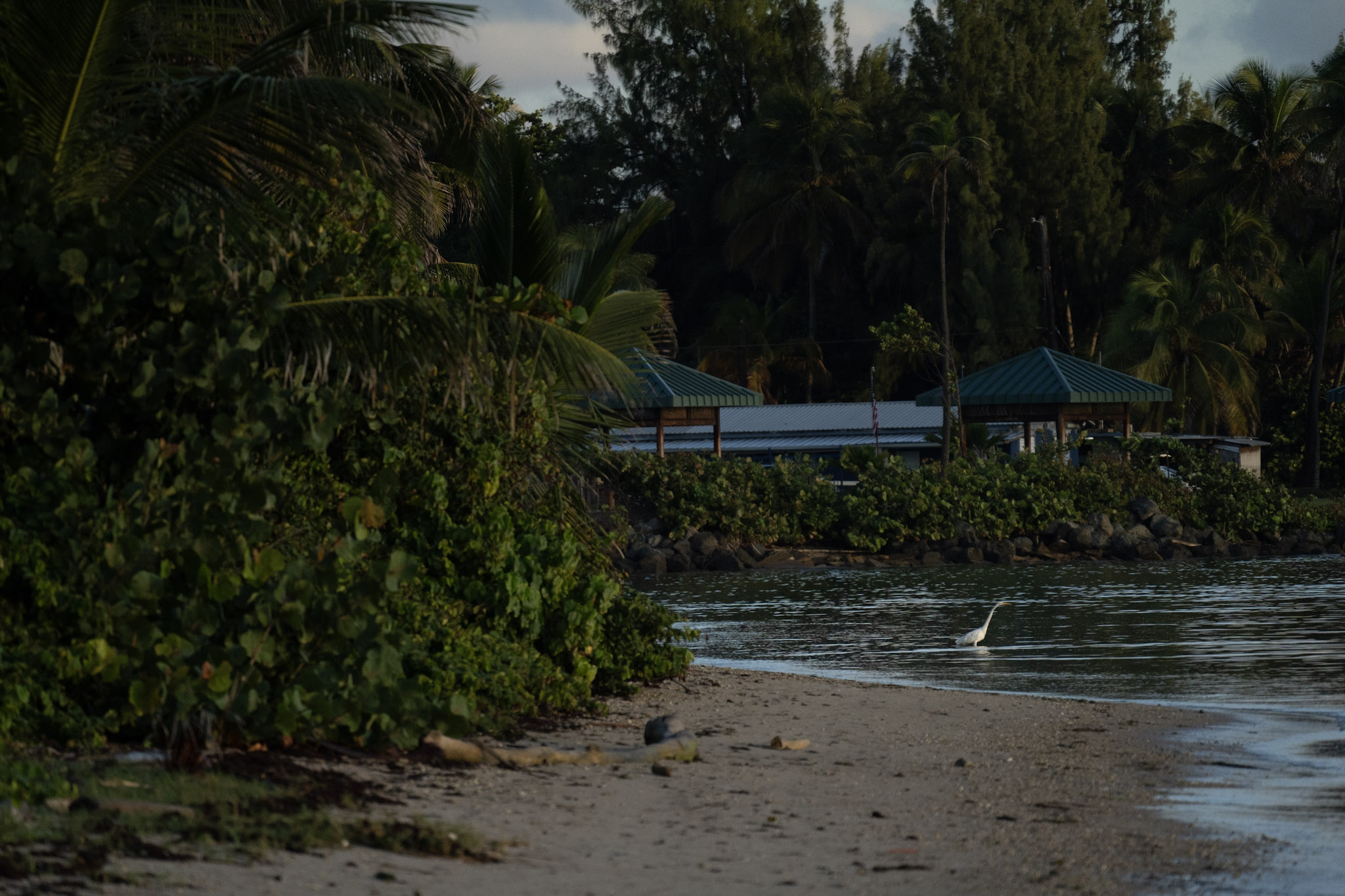 2021-12-21_Isla_de_Cabras - foto 154