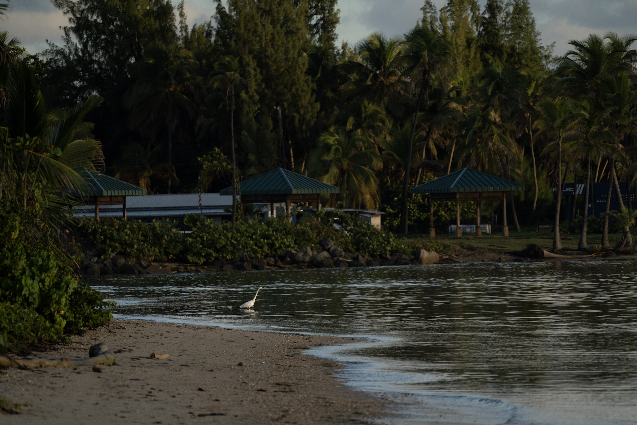 2021-12-21_Isla_de_Cabras - foto 155