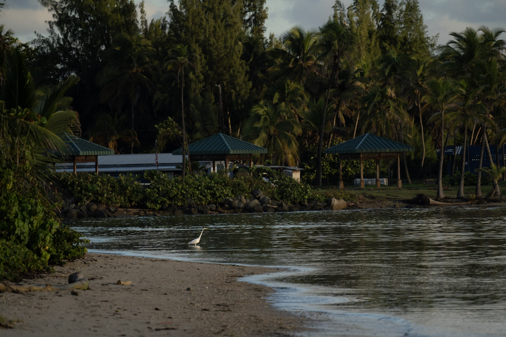 2021-12-21_Isla_de_Cabras - foto 156