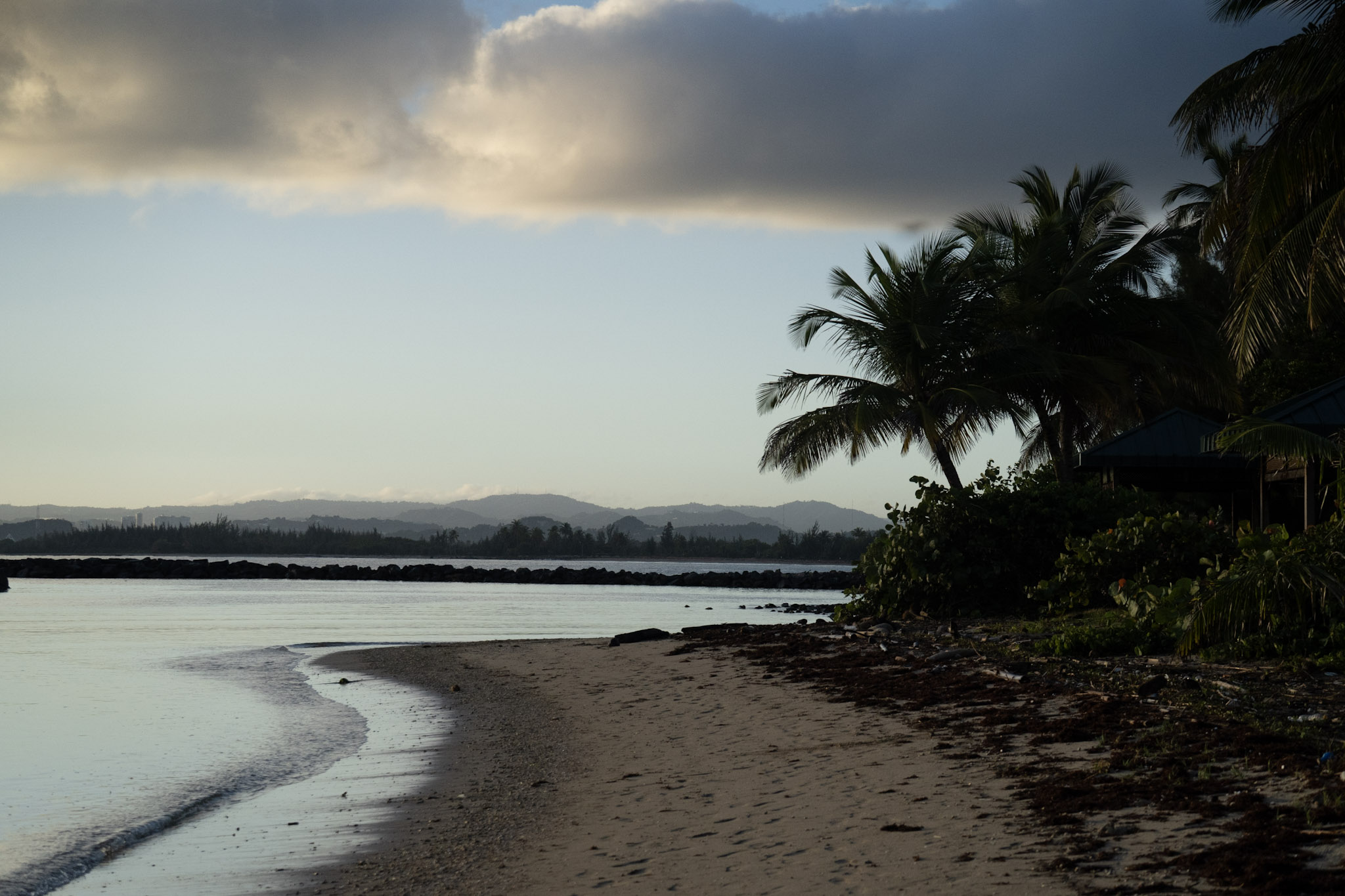 2021-12-21_Isla_de_Cabras - foto 158