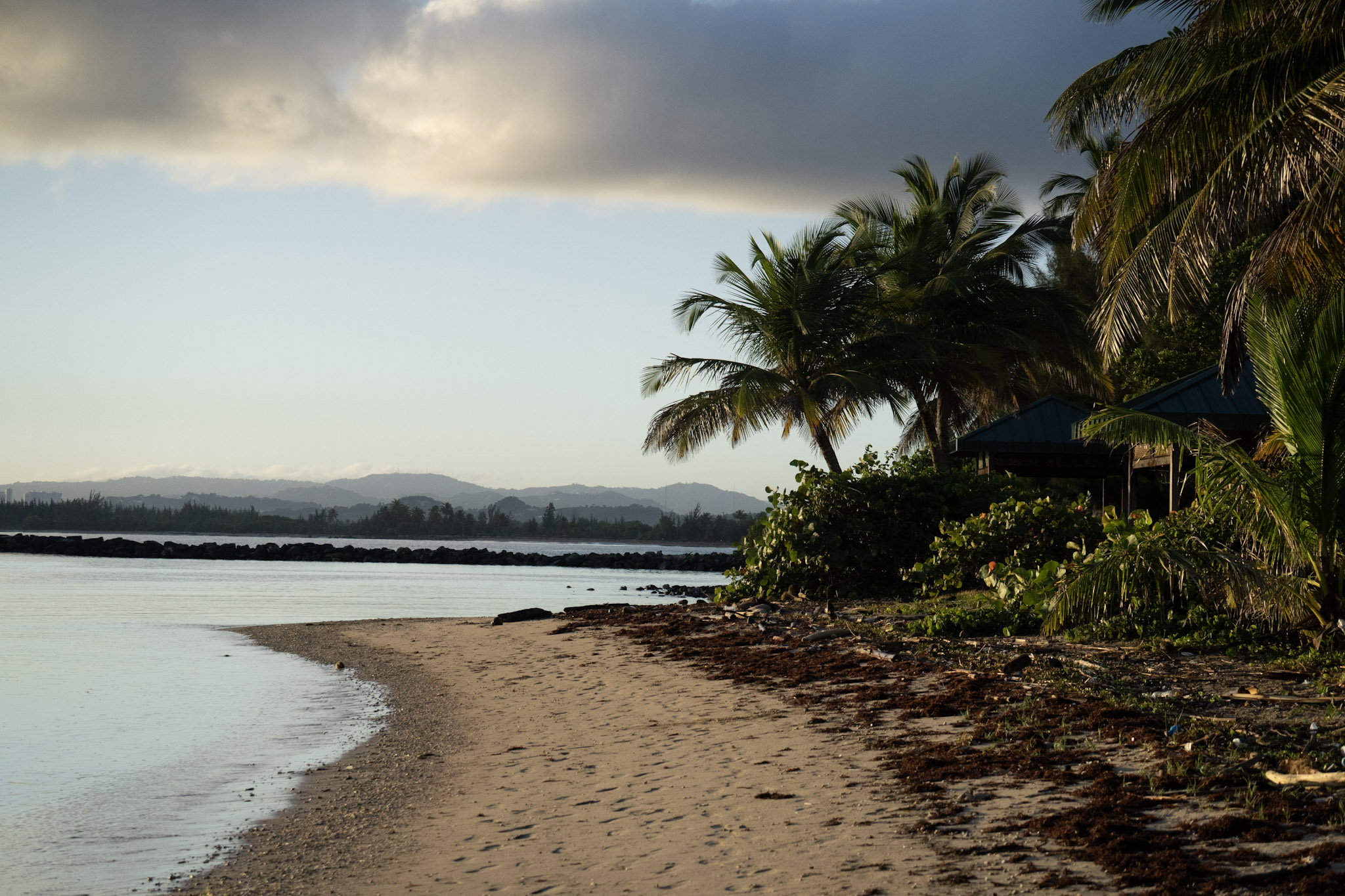 2021-12-21_Isla_de_Cabras - foto 159