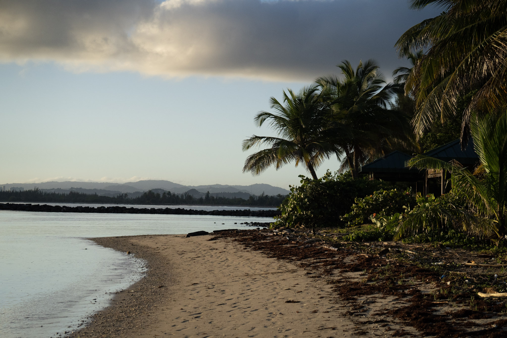 2021-12-21_Isla_de_Cabras - foto 160