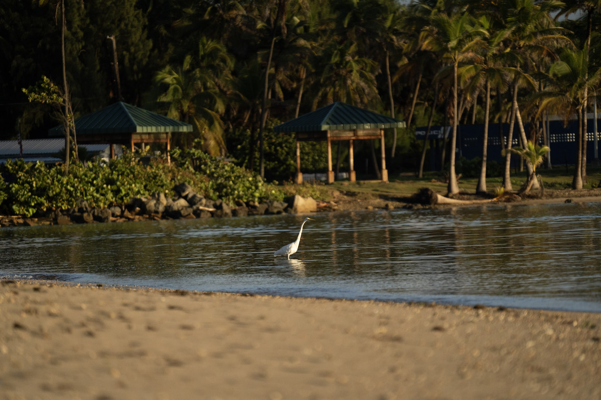 2021-12-21_Isla_de_Cabras - foto 164