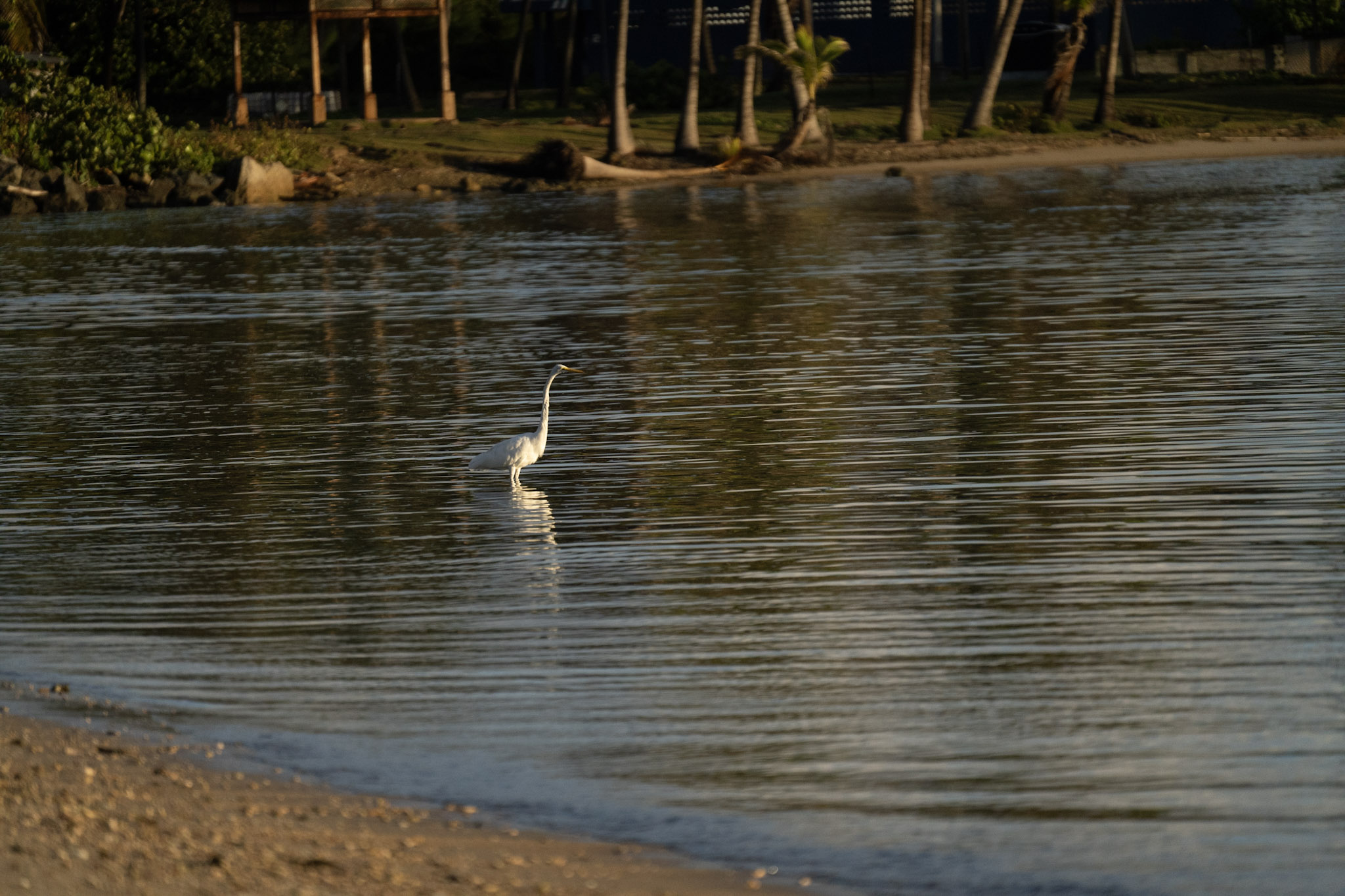 2021-12-21_Isla_de_Cabras - foto 165
