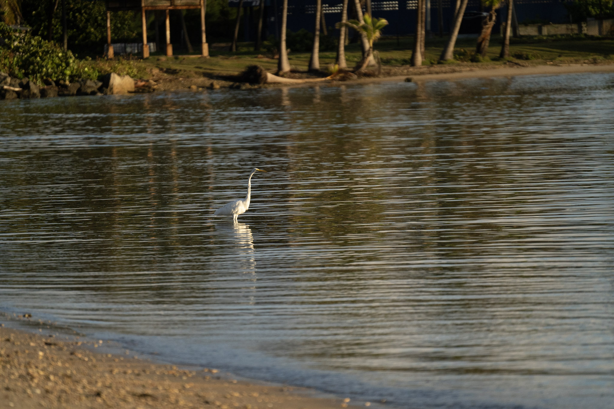 2021-12-21_Isla_de_Cabras - foto 166