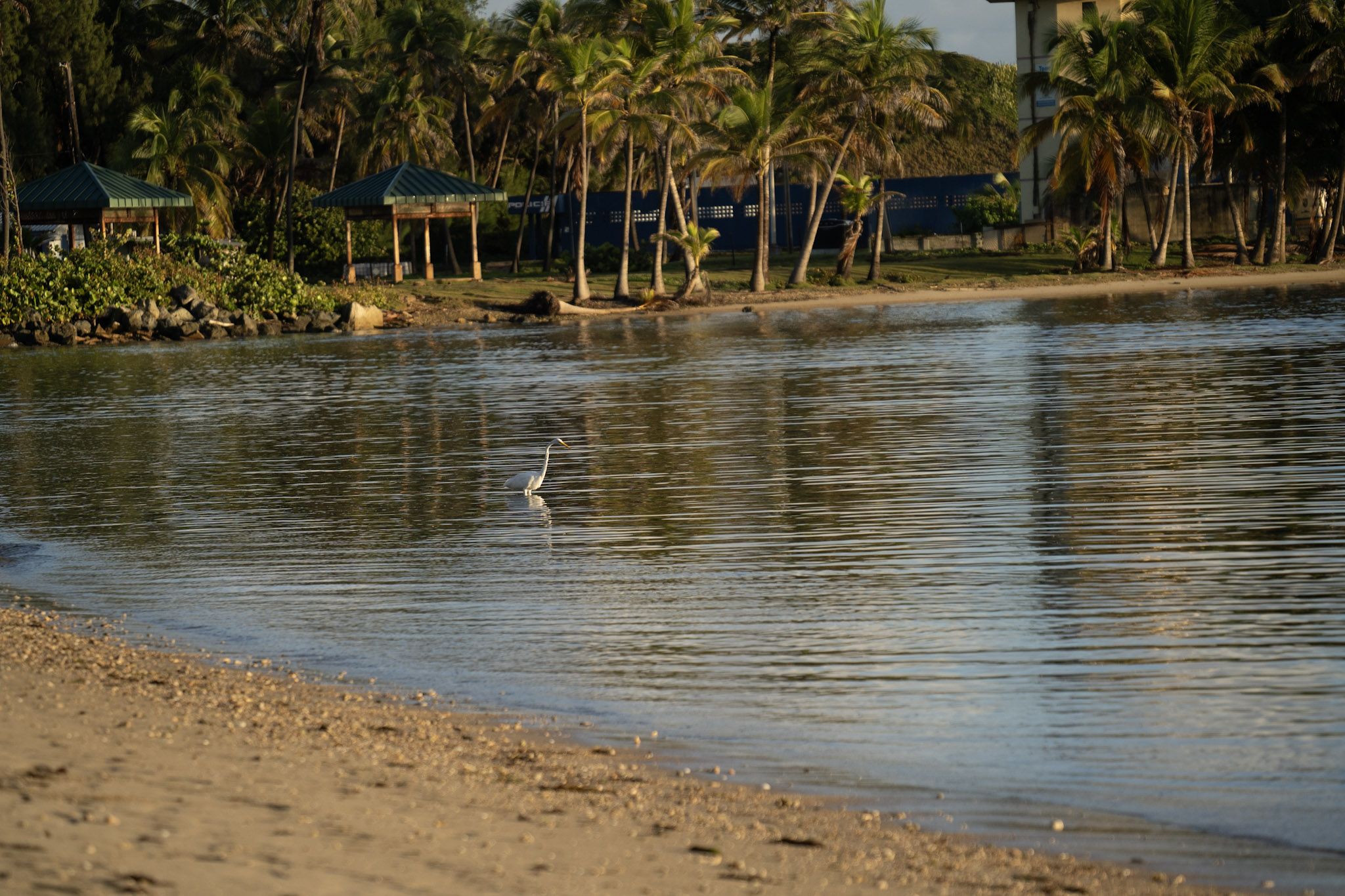 2021-12-21_Isla_de_Cabras - foto 167