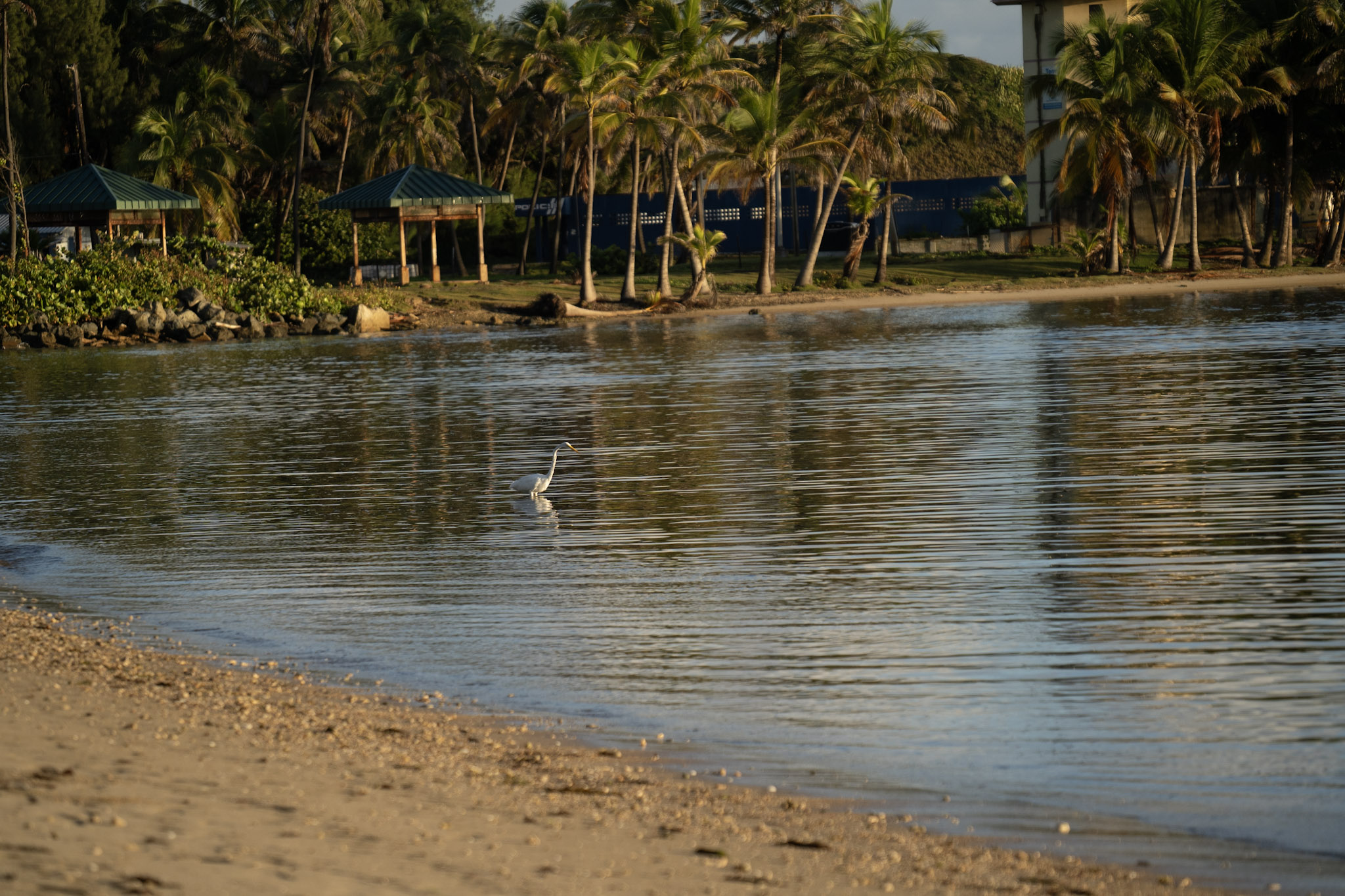 2021-12-21_Isla_de_Cabras - foto 168