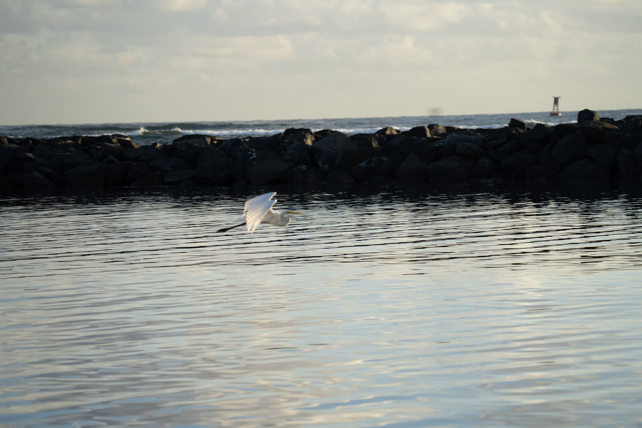 2021-12-21_Isla_de_Cabras - foto 169